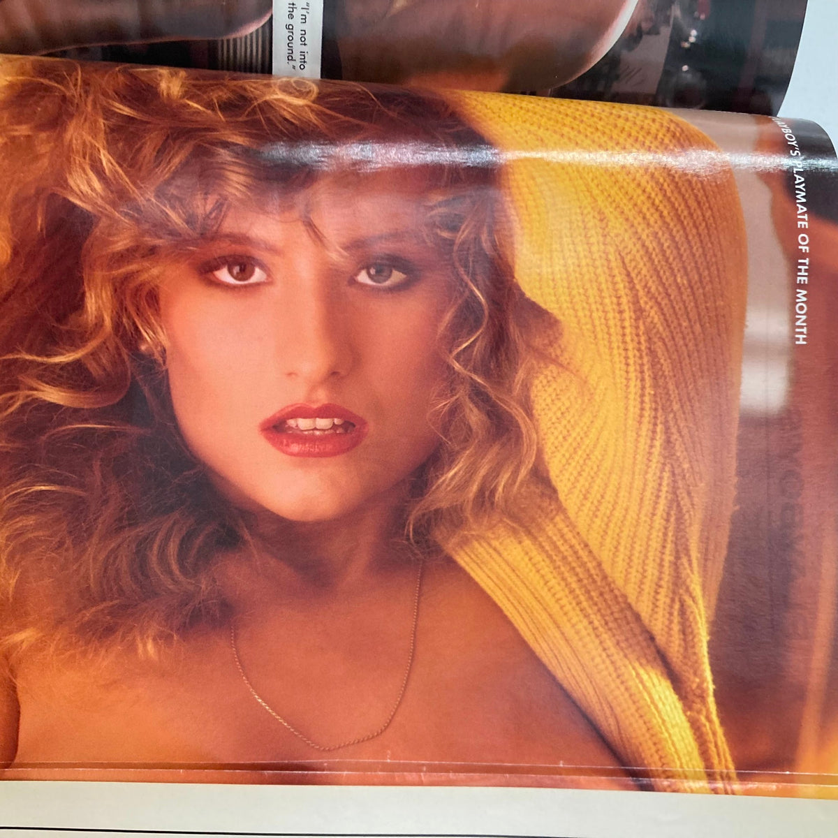 Centerfold image from the VTG Playboy Magazine September 1990, featuring a captivating portrait of the Playmate of the Month with glamorous styling and vibrant colors.