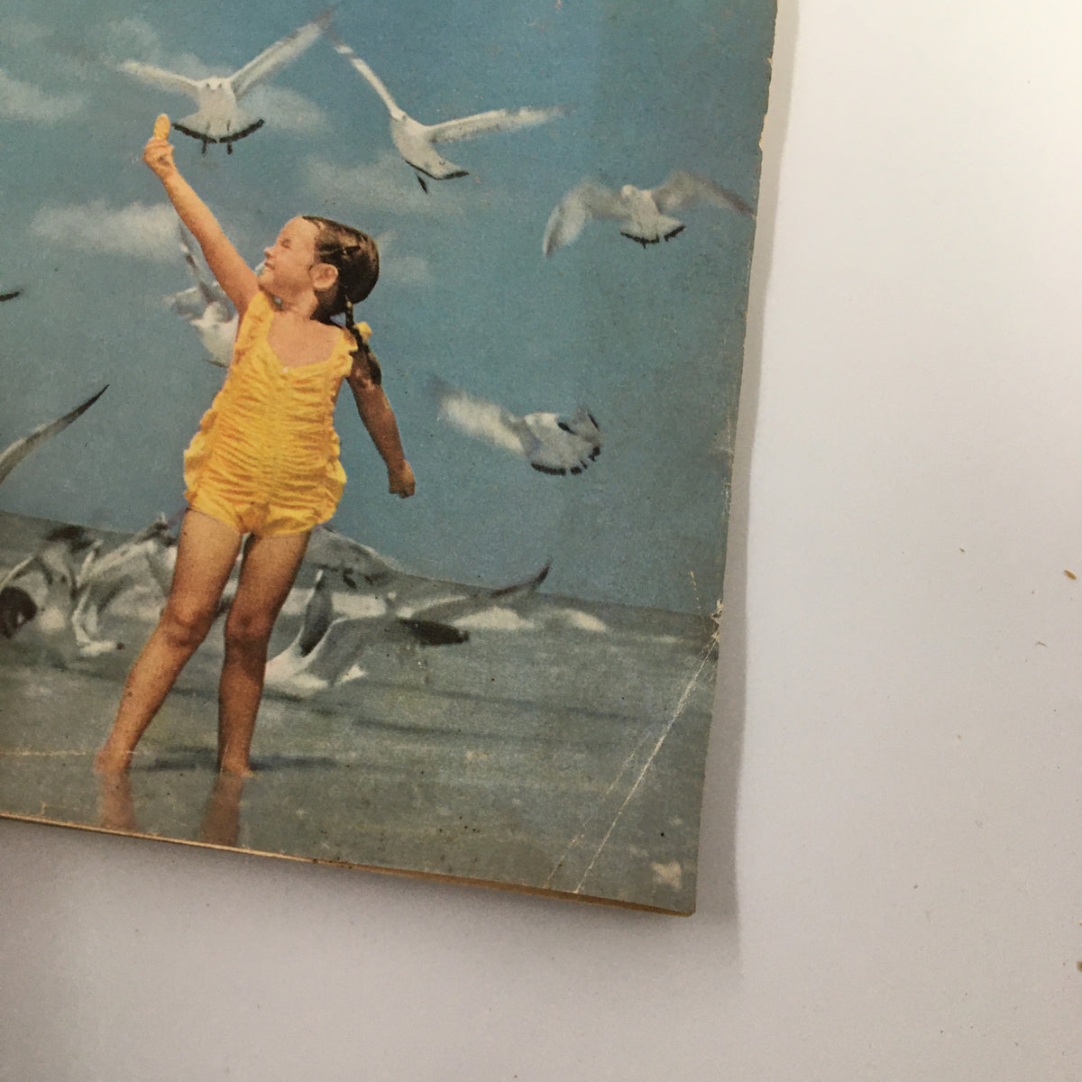 Detailed view of the cover of VTG Family Circle Magazine July 1955, showcasing a girl in a yellow swimsuit interacting with seagulls on the beach.