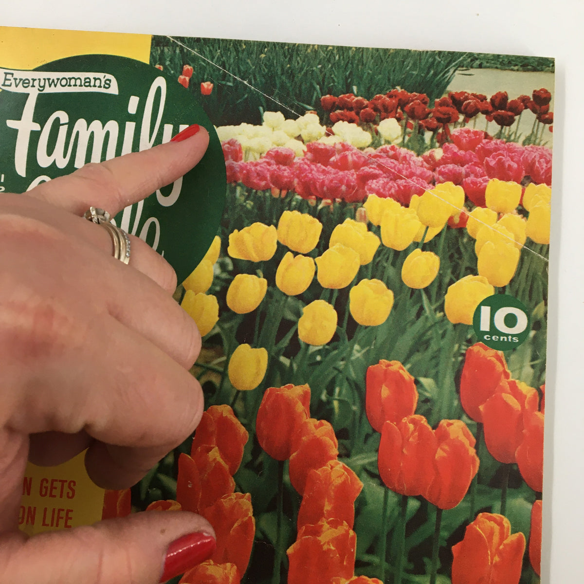 Close-up of the cover of VTG Family Circle Magazine April 1962, highlighting the magazine's title and vibrant tulip flowers.