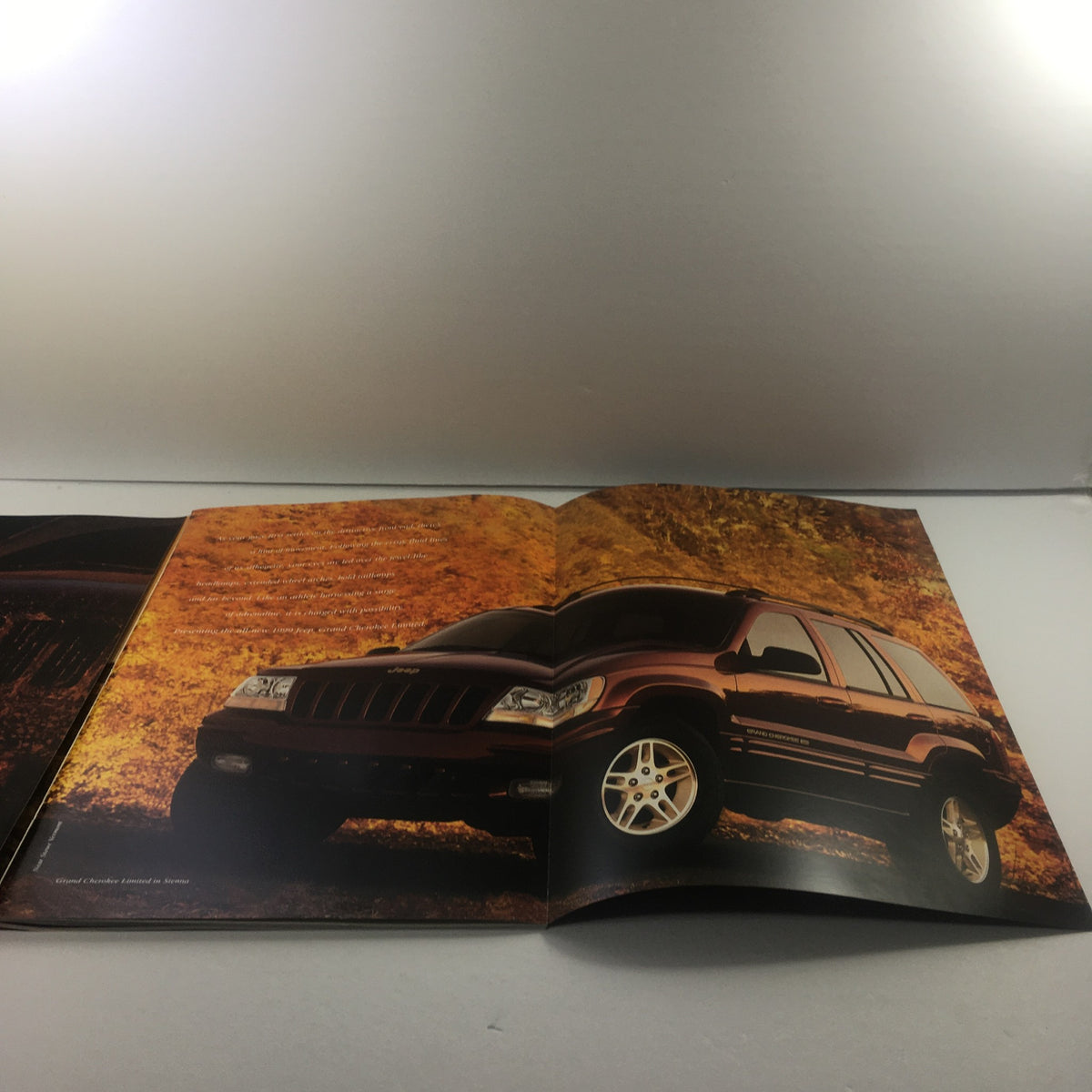 Interior spread of the 1999 Jeep Grand Cherokee SUV Dealership Car Auto Brochure Catalog featuring the vehicle against a vibrant autumn backdrop.