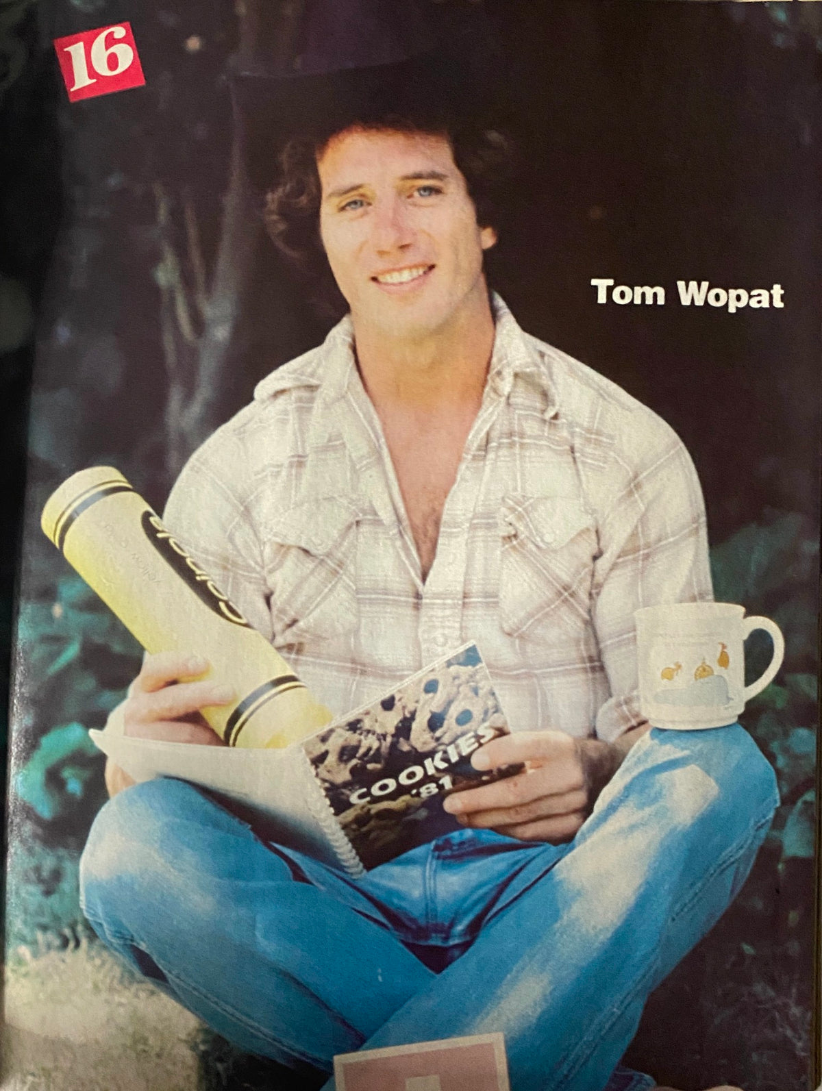 Tom Wopat featured in the January 1981 issue of 16 Magazine, smiling while seated outdoors, highlighting his charm and popularity during the era.