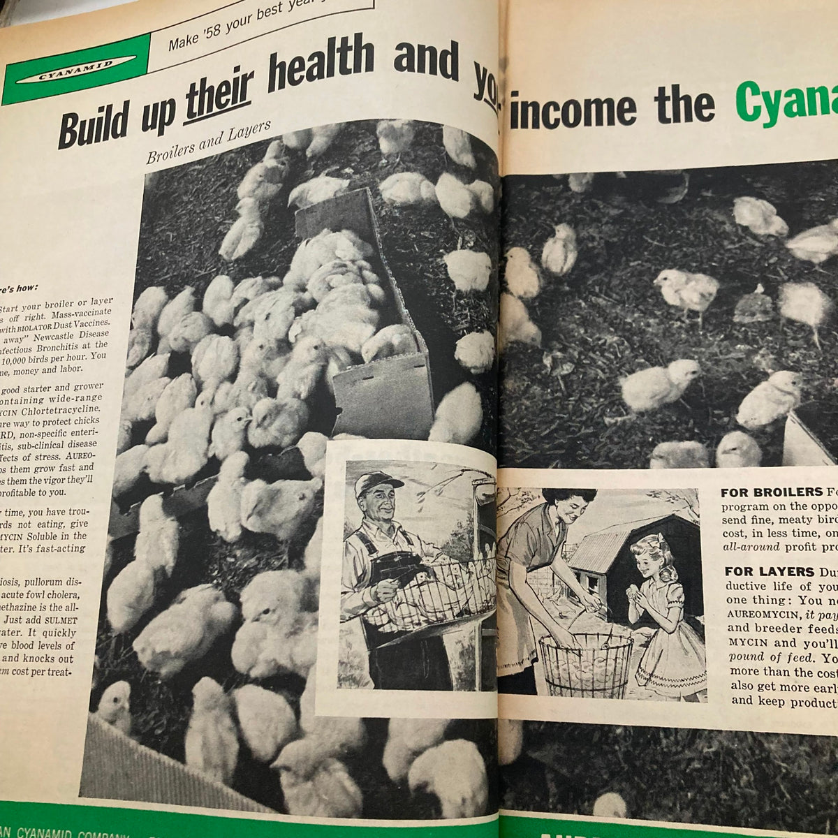 Page from The Progressive Farmer Magazine January 1958 featuring chicks and poultry management tips, highlighting agriculture and farming techniques of the time.