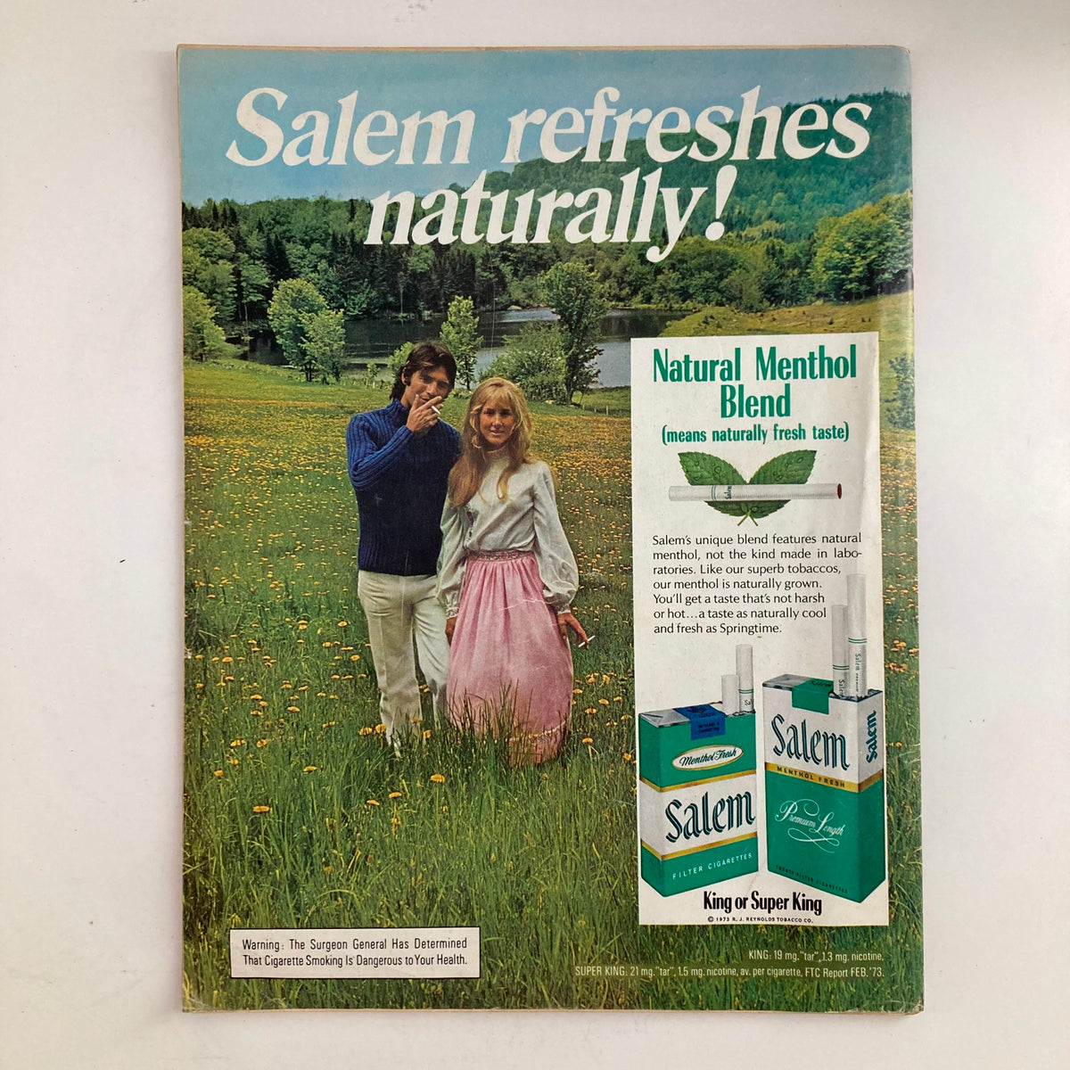 Vintage Salem cigarette advertisement featuring a couple in a lush green field, promoting the natural menthol blend, alongside the title 'VTG Newsweek Magazine August 20 1973 Spiro T. Agnew & Richard Nixon'.