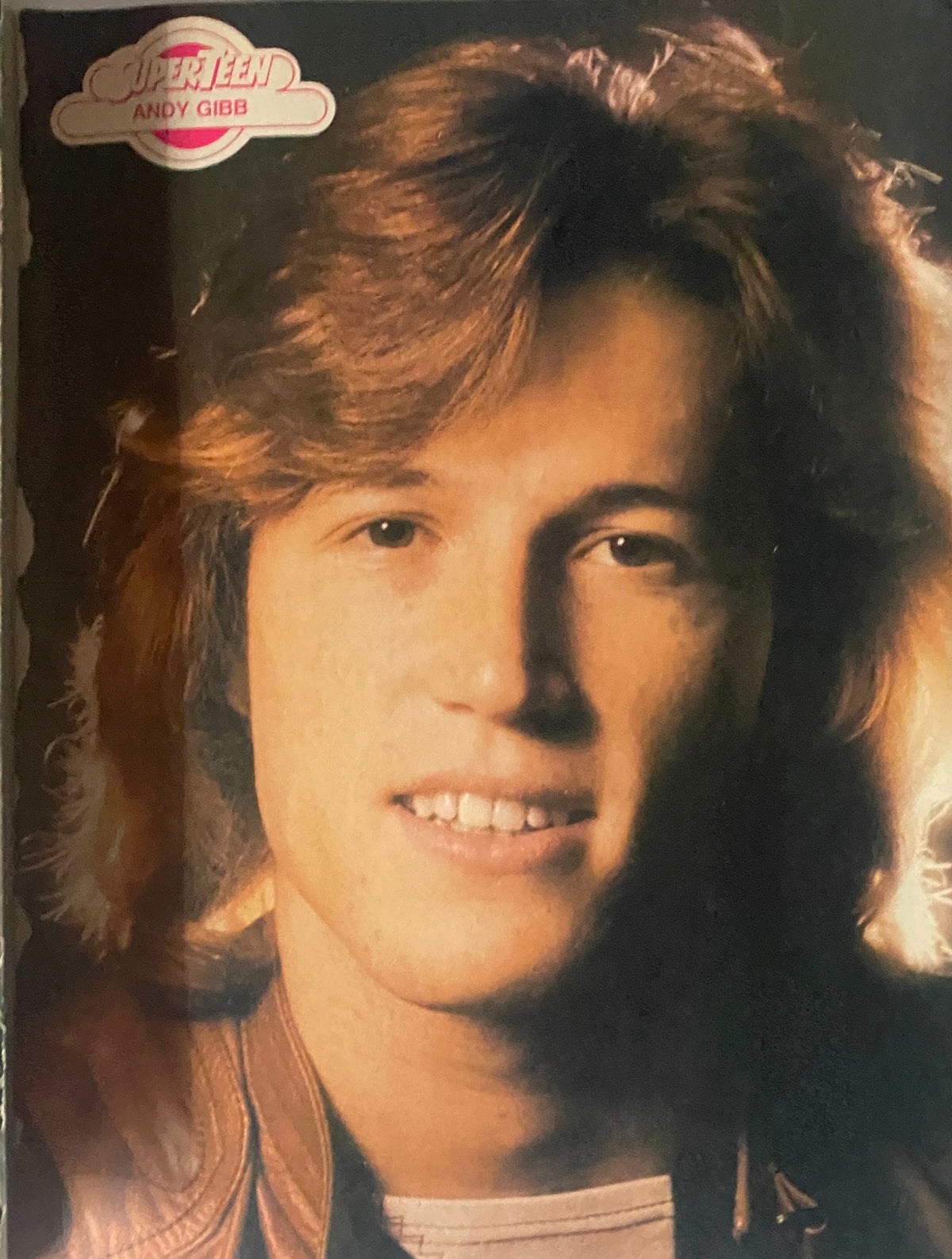 Andy Gibb featured in SuperTeen Photo Album No. 5, displaying his classic hairstyle and charm from the 1970s.