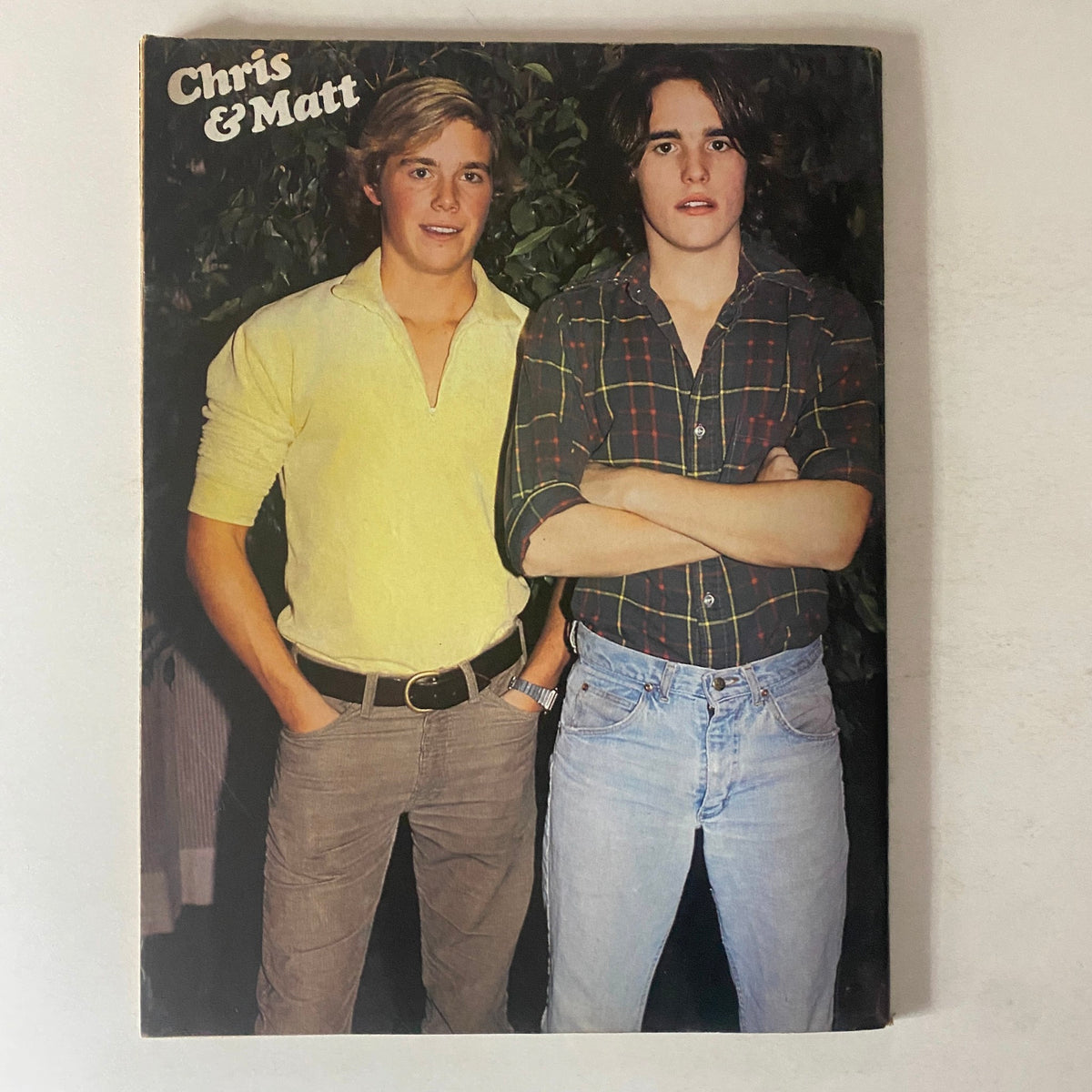 Second interior image from Teen Bag Magazine 1981 Spring Annual, featuring two young men posing together, representing classic 80s teen culture.