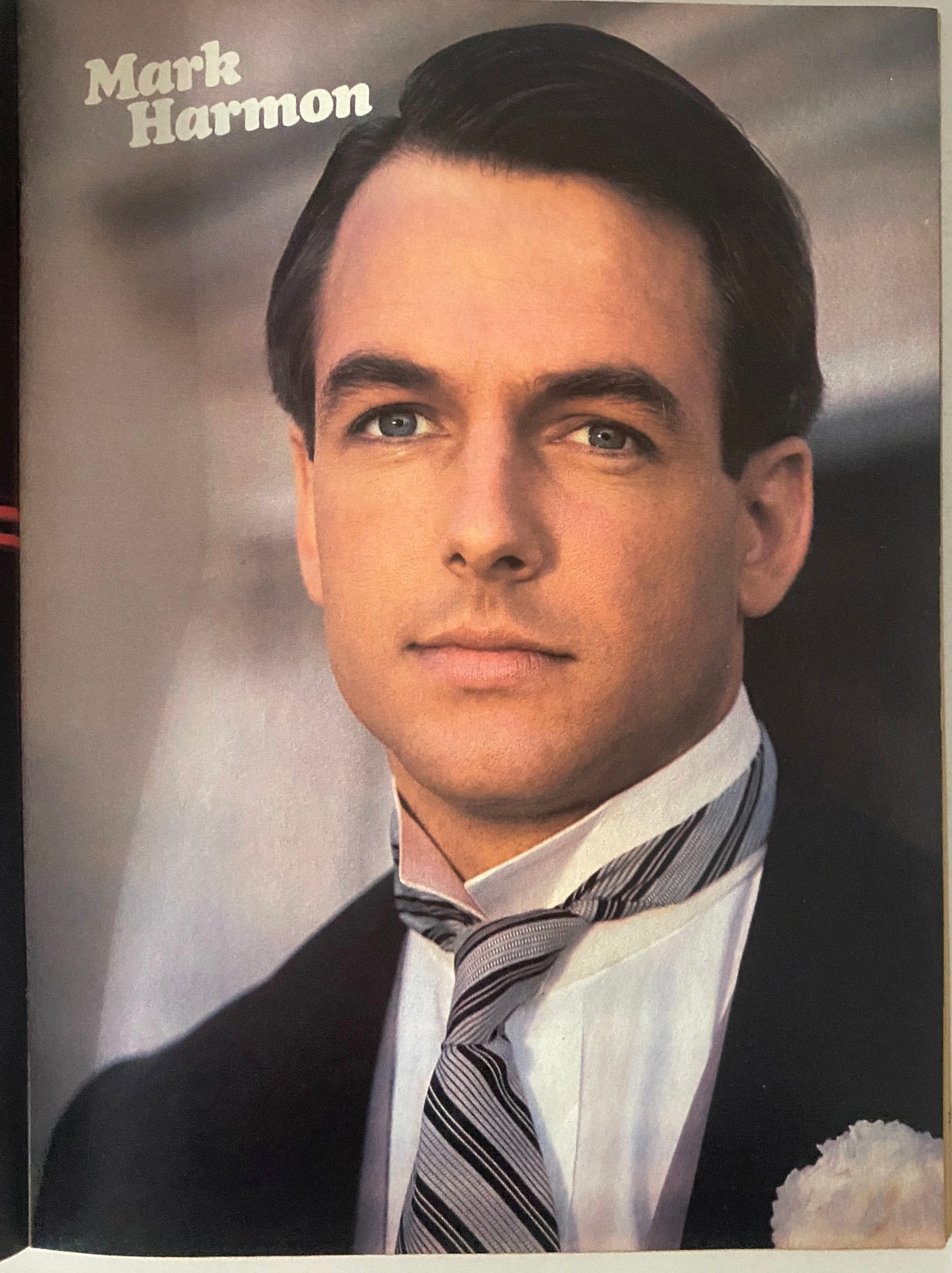 Portrait of Mark Harmon featured in Teen Bag Magazine July 1980, presenting a classic look with a sophisticated outfit.