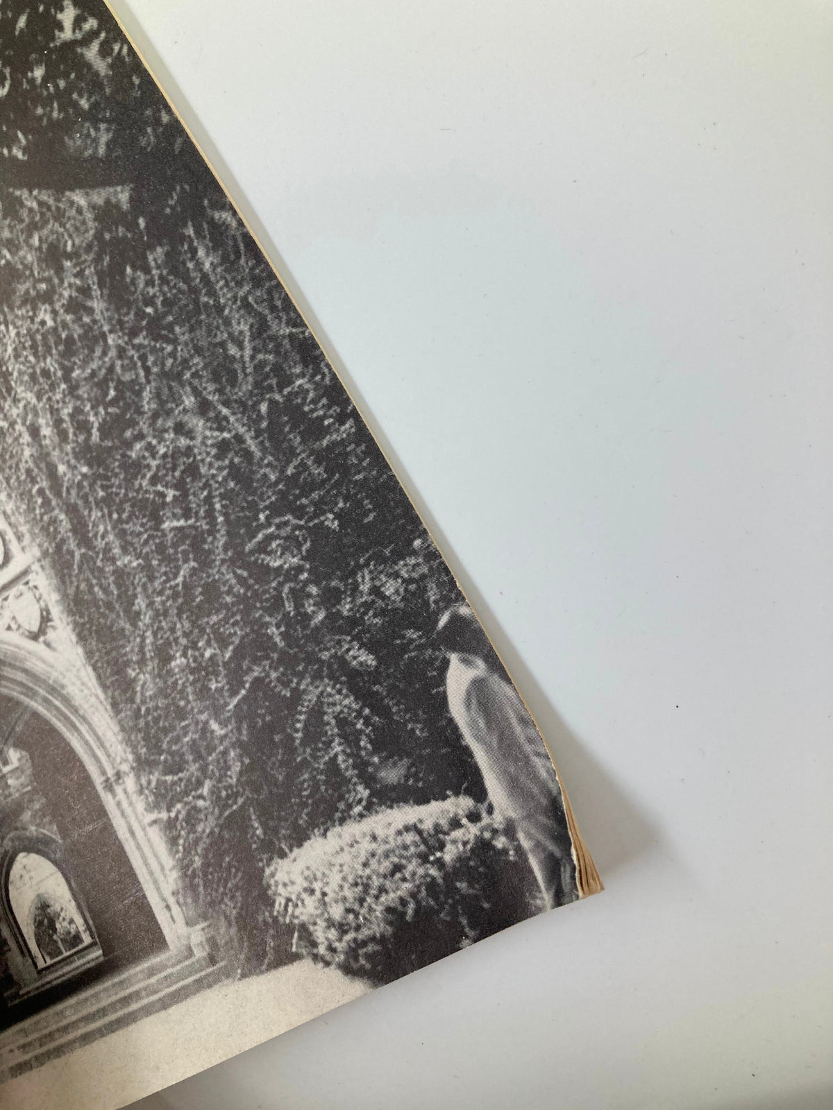 Close-up view of the corner of the October 3, 1947 VTG Princeton Alumni Weekly magazine, showcasing vintage aesthetics and preservation details.