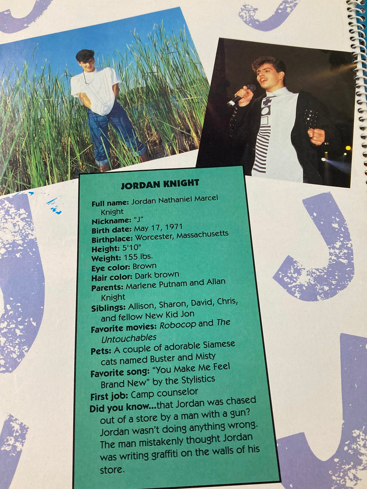 Image from '1990 Publications International, Ltd. Presents New Kids On The Block' detailing Jordan Knight's profile with personal information including his nickname, full name, and educational background, along with a photo of him in a field.