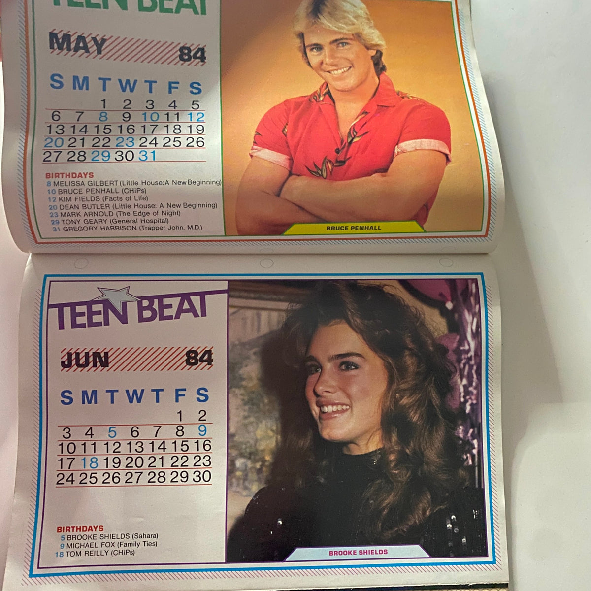 Teen Beat Magazine January 1984 featuring Bruce Penhall in the May calendar section, with birthdates for various entertainers.