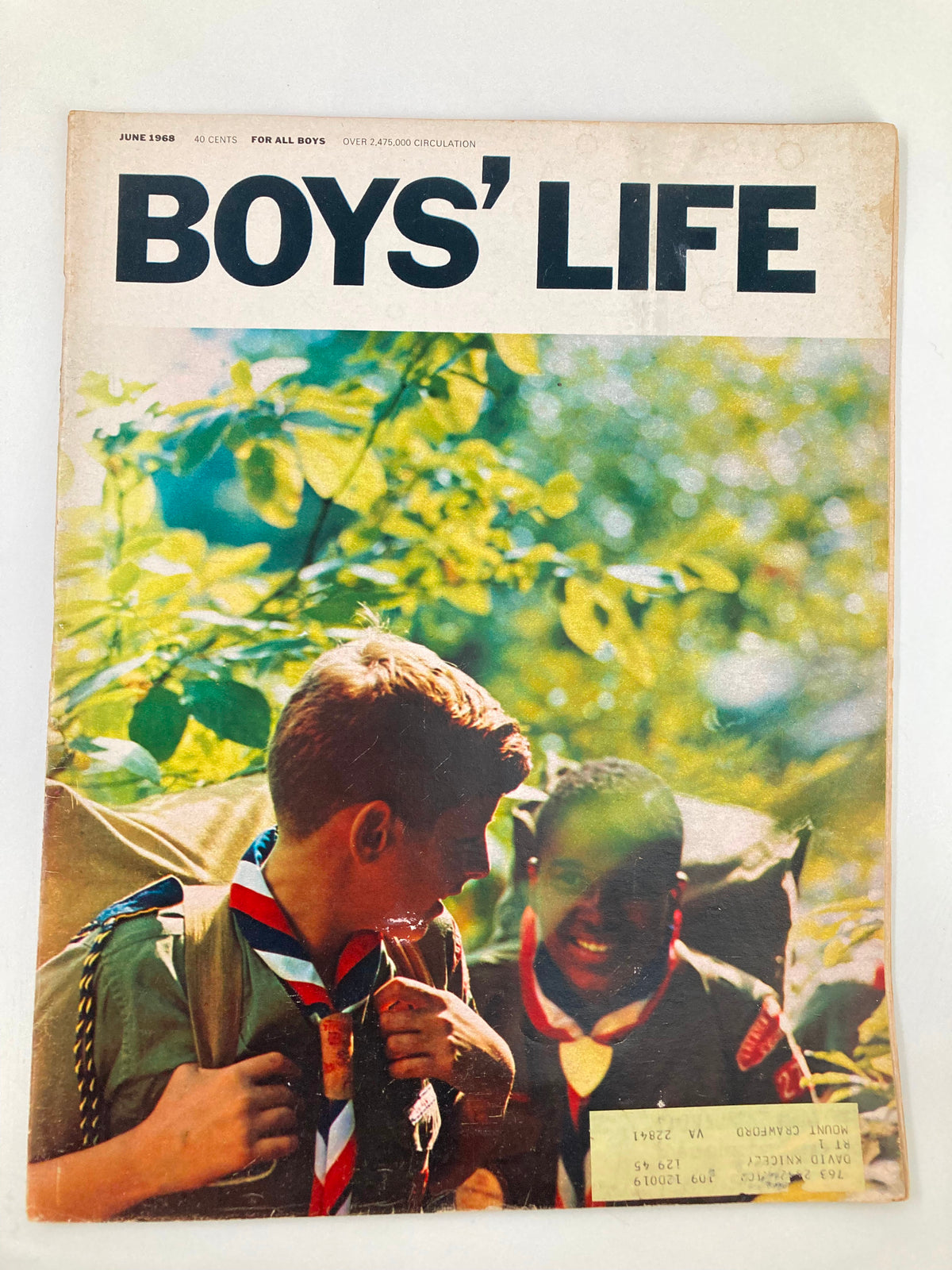 Cover of VTG Boys' Life Magazine June 1968 featuring two boys in scout uniforms in a forest, emphasizing the camping theme.