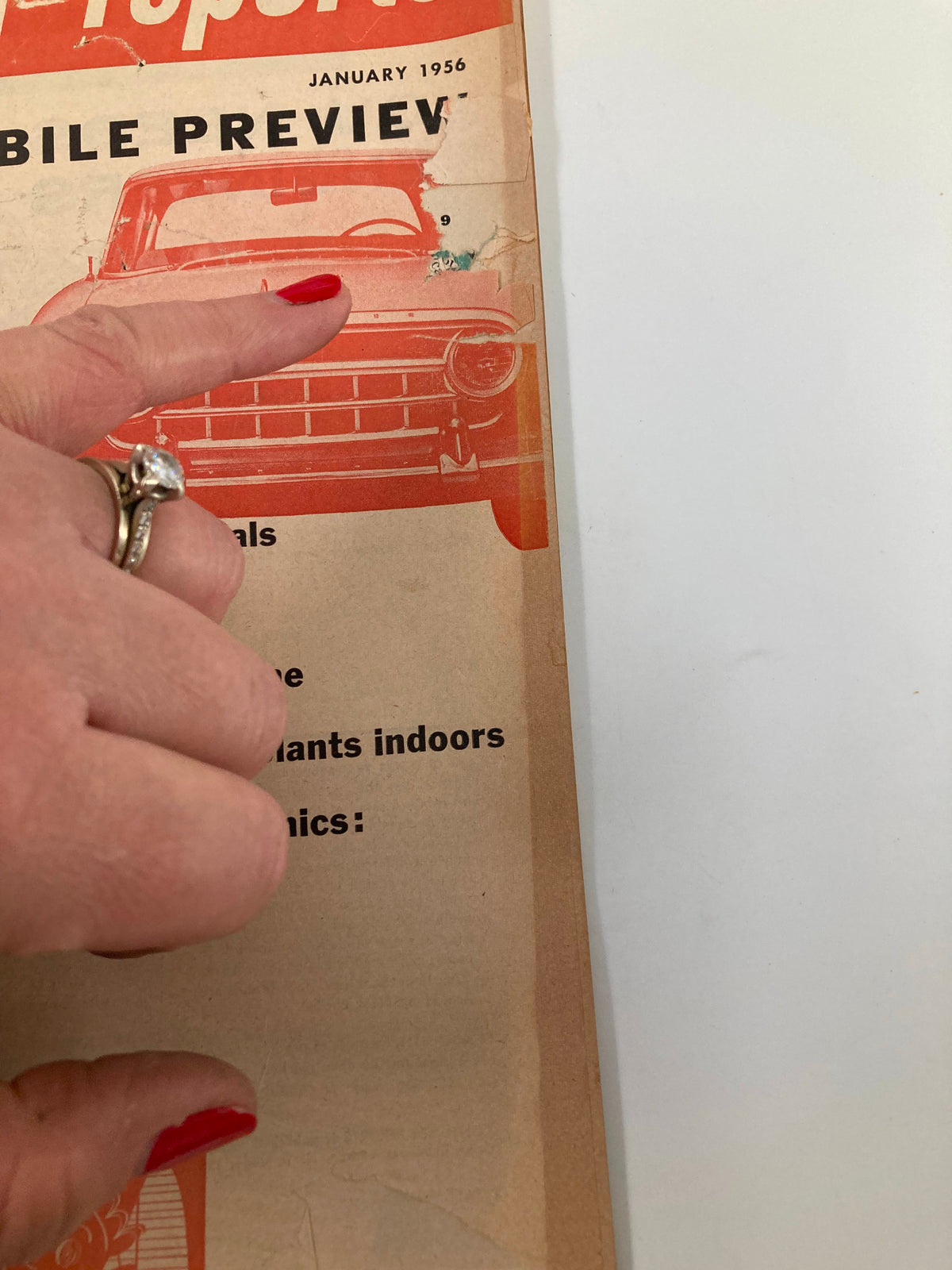 Close-up of the vintage Consumer Reports magazine cover from January 1956, highlighting a red car with the title 'Growing a Foliage Plant'.