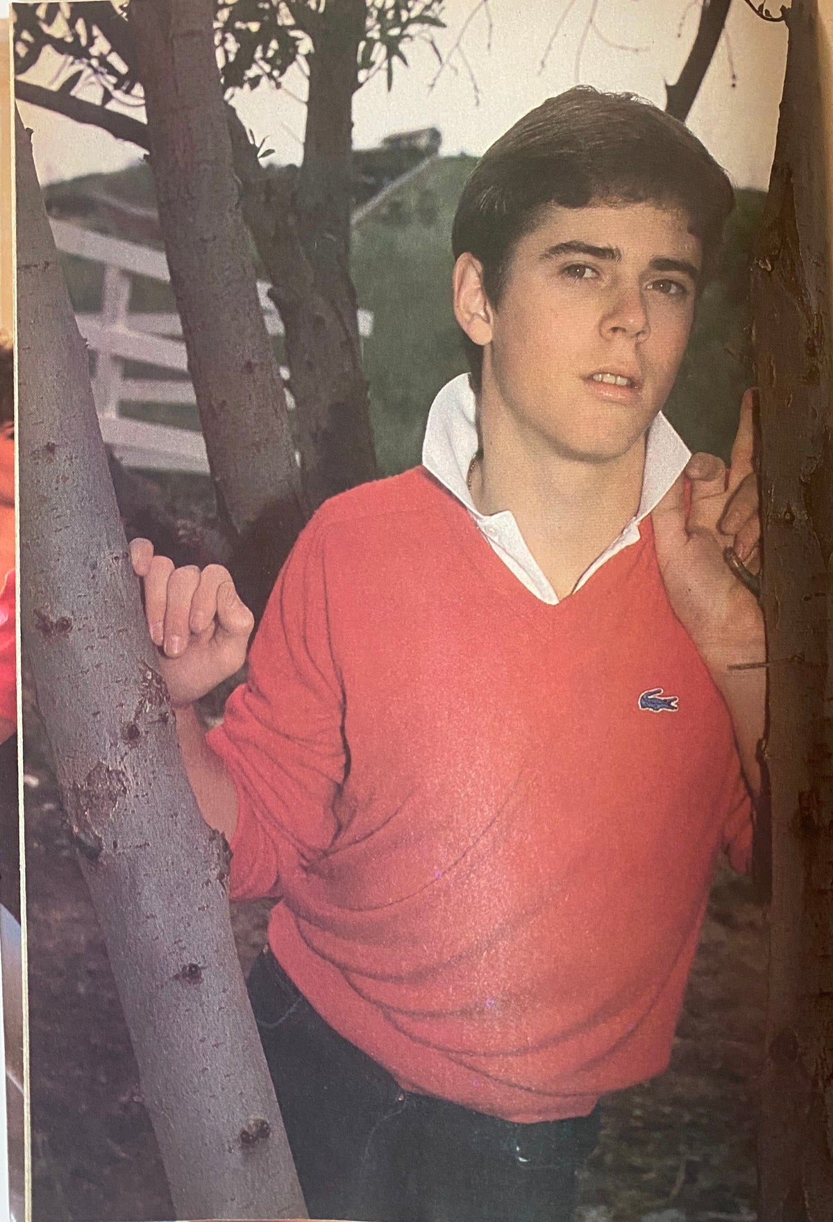 A stylish young man in a red sweater posing next to a tree, featured in Teen Beat Magazine October 1983.