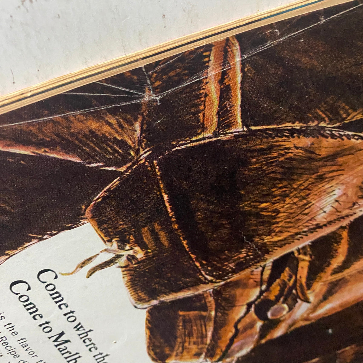 Close-up of a vintage advertisement from Time Magazine November 27, 1964 Vol 84 No. 22, featuring a detailed illustration related to Du Pont's Copeland. The image showcases the intriguing artistry and graphic design typical of the 1960s era.