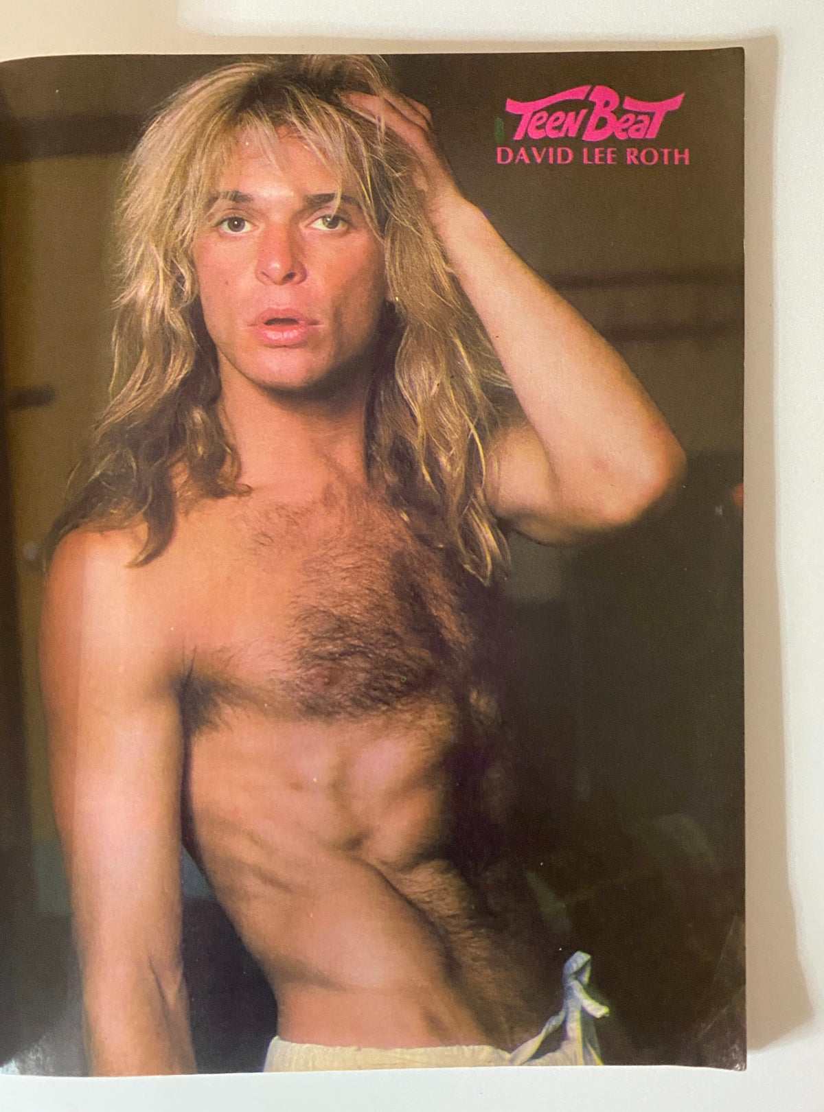 Teen Beat Magazine May 1981 featuring David Lee Roth with long hair and a strong pose, showcasing the iconic pop culture of the 1980s.