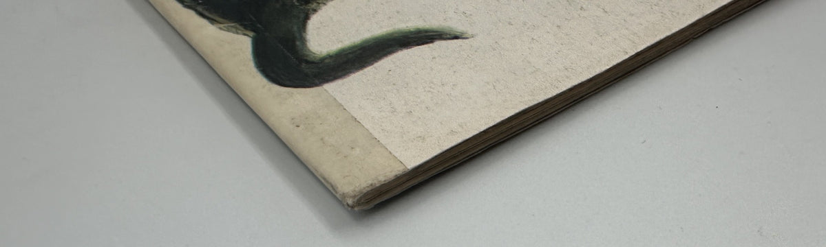 Close-up of the spine of MAD Magazine No. 184 from July 1976, showing significant wear and creases, a critical vintage item for collectors.