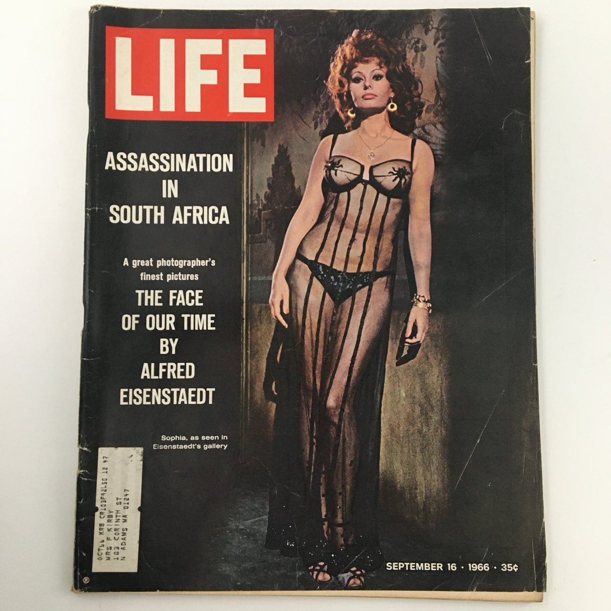 Cover of Life Magazine dated September 16, 1966, featuring an iconic photo of a model in a black sheer dress, highlighting Sophia Loren as seen in Eisenstaedt's Gallery. The magazine's title and key topics like Assassination in South Africa and The Face of Our Time by Alfred Eisenstaedt are prominently displayed.
