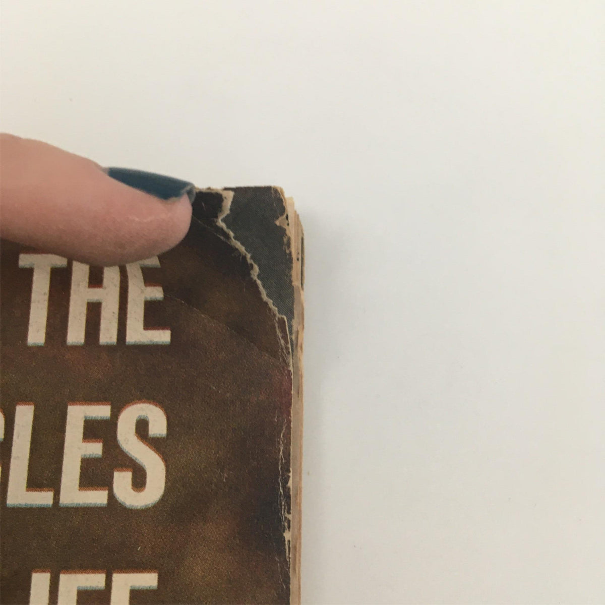 Detail shot of the top corner tear on the cover of VTG Life Magazine September 8, 1967 featuring Carl Yastrzemski, showcasing the magazine's age and condition.