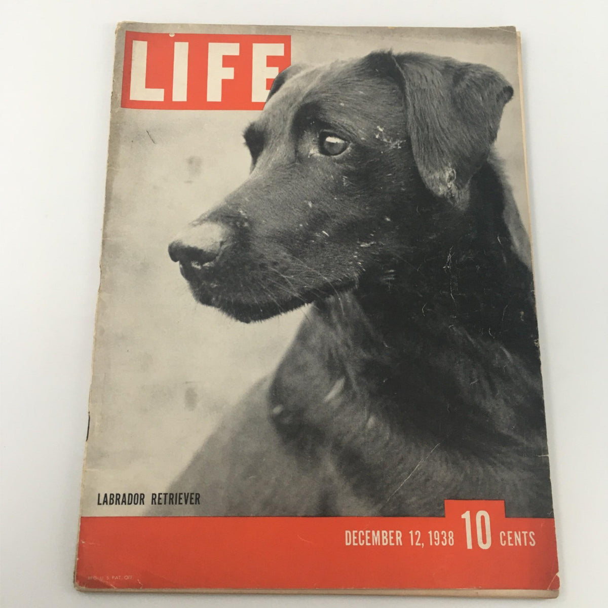Vintage Life Magazine cover from December 12, 1938, featuring a Labrador Retriever. This issue titled 'Blind of Arden' showcases the charm of the late 1930s and is a collectible piece for dog lovers and history enthusiasts.