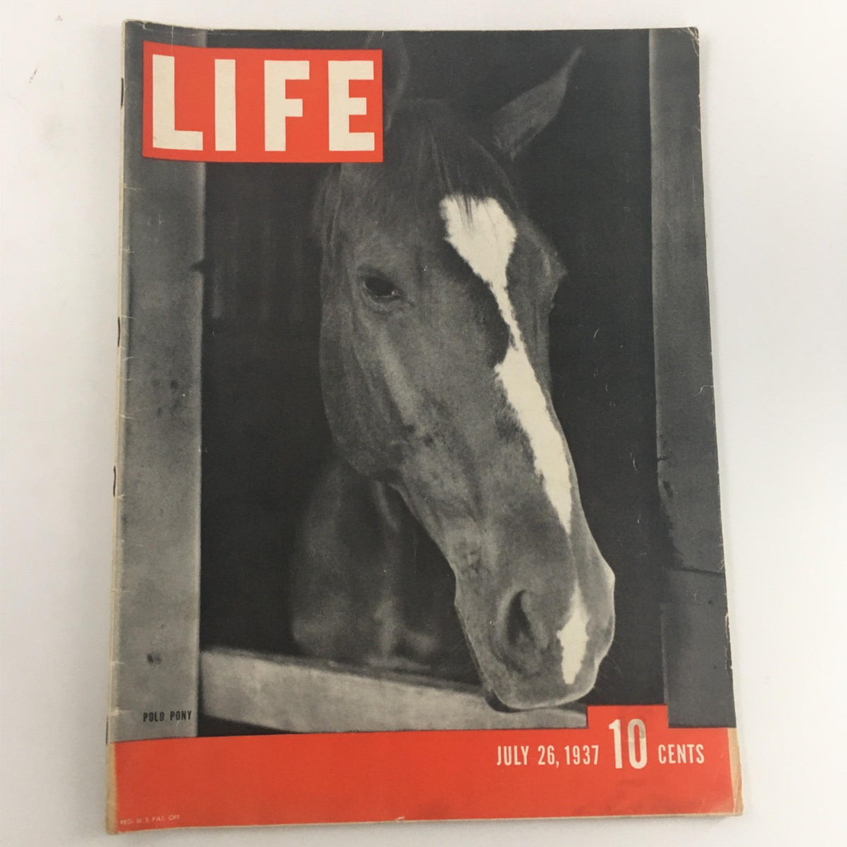Cover of Life Magazine dated July 26, 1937 featuring a close-up of a polo pony. The title prominently displayed is 'LIFE' with the date 'JULY 26, 1937' and the price '10 CENTS'.