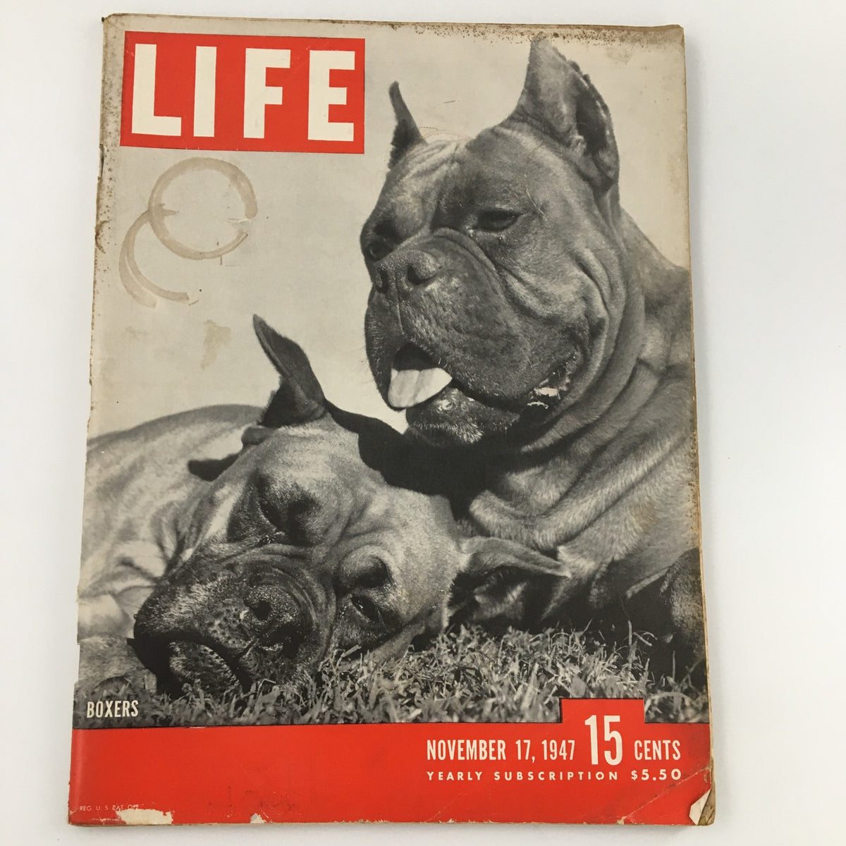 Cover of VTG Life Magazine November 17, 1947 featuring Boxer dog breed, with two Boxers resting on grass, showcasing vintage magazine design.