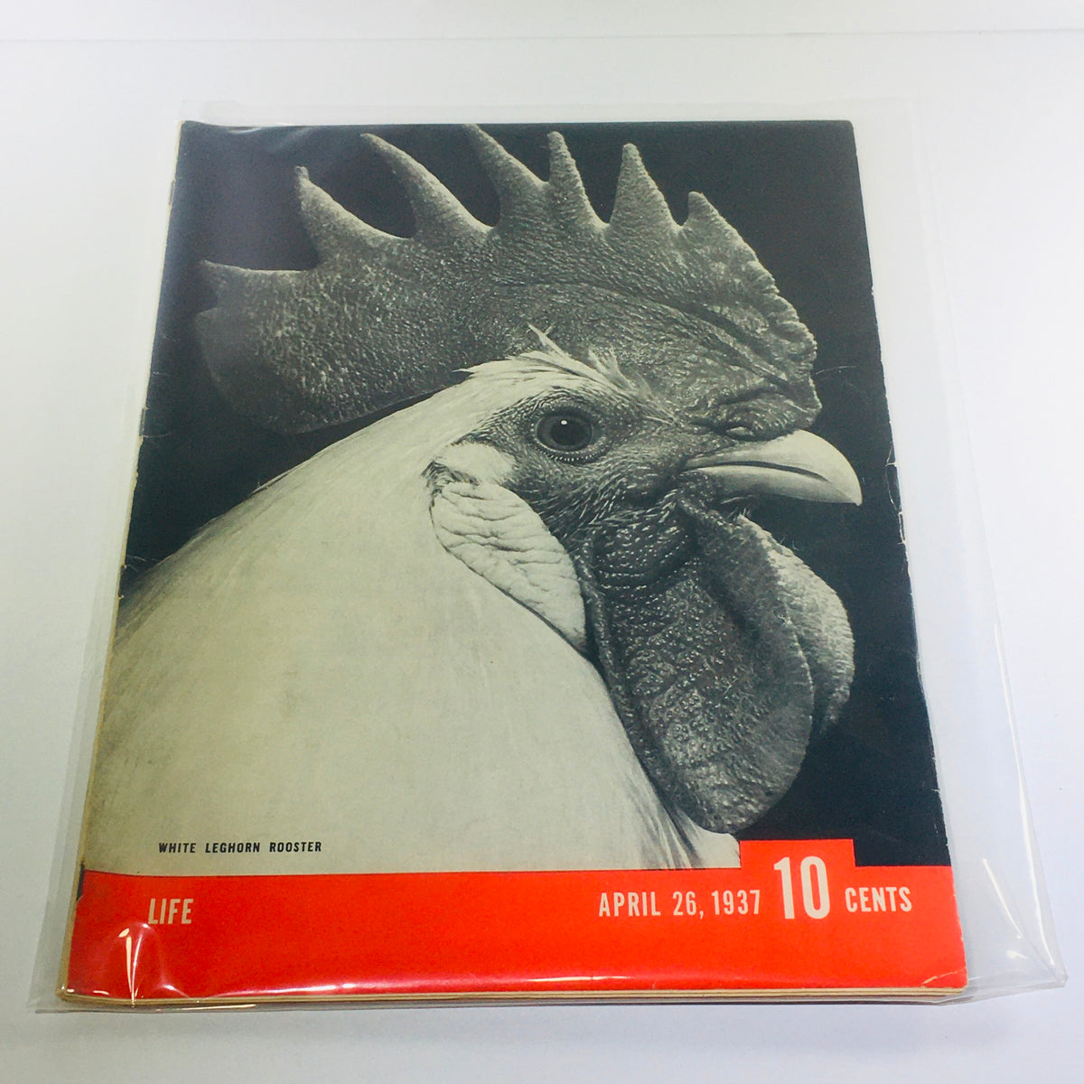 Vintage Life Magazine cover from April 26, 1937, featuring a detailed black and white illustration of a White Leghorn Rooster, highlighting its distinctive features and vintage charm.
