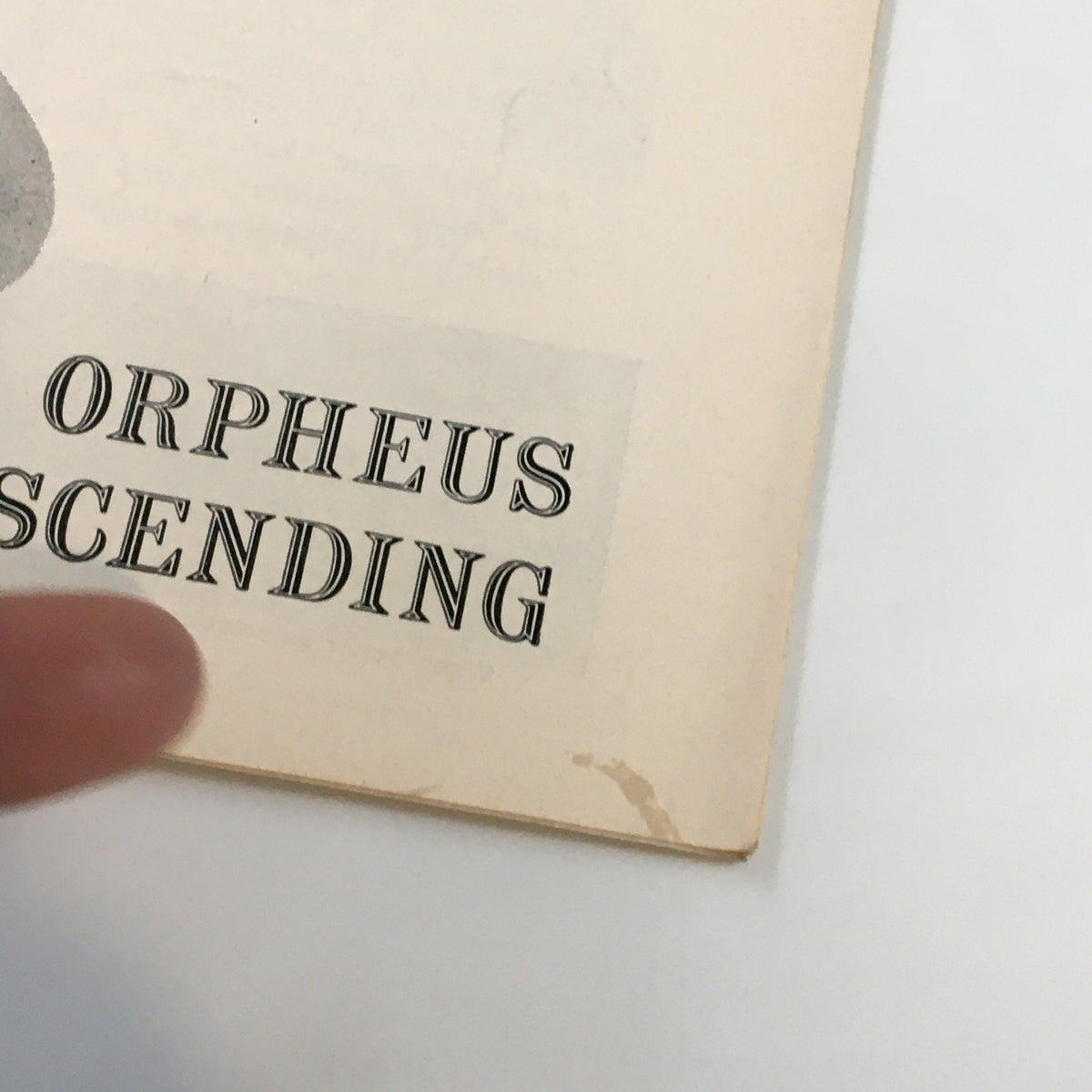 Close-up of the 1957 Playbill for Orpheus Descending, highlighting the title in bold lettering and the vintage texture of the playbill.