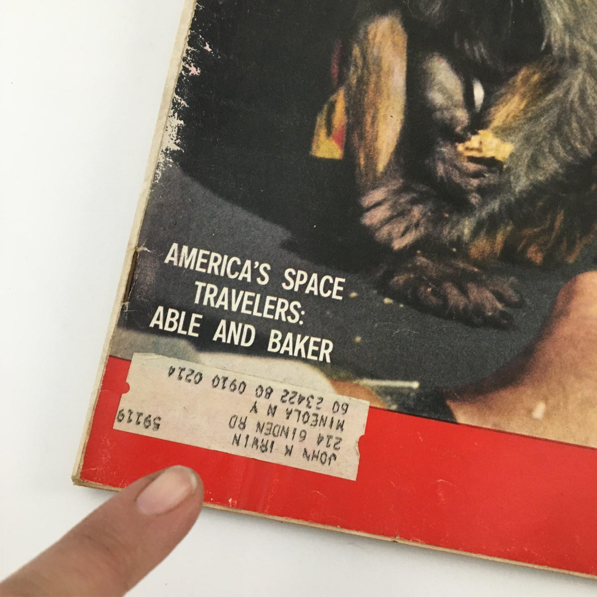 Detail of the cover of VTG Life Magazine June 15, 1959, highlighting the text 'America's Space Travelers: Able and Baker' with a finger pointing to the address label.