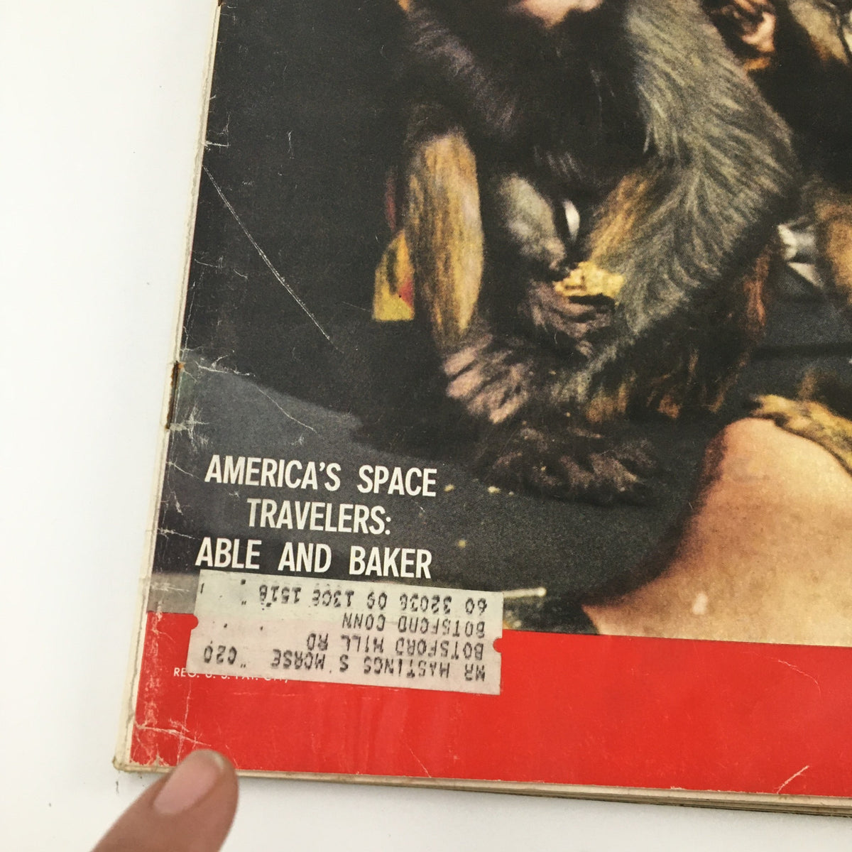 Close-up of the cover of VTG Life Magazine June 15, 1959, highlighting the text 'America's Space Travelers: Able and Baker,' showcasing the significant role of these monkeys in space exploration.