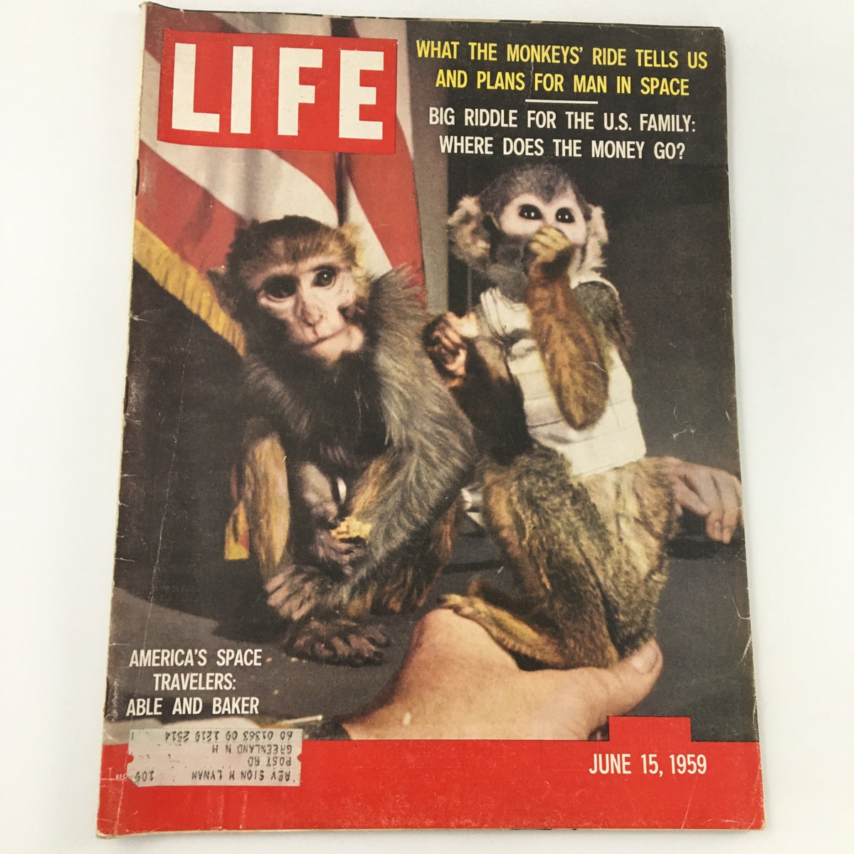 Vintage Life Magazine cover from June 15, 1959, featuring two monkeys, captioned 'What the Monkey's Ride Tells Us and Plans for Man in Space.' A significant publication highlighting the early days of America’s space exploration.