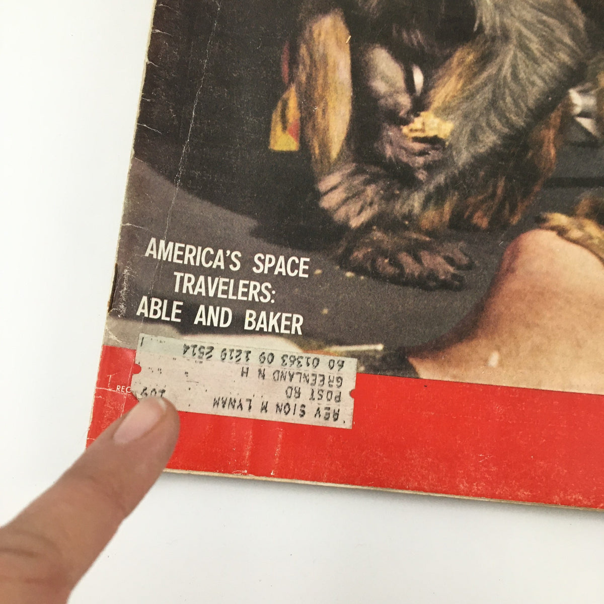Close-up view of the June 15, 1959, Life Magazine cover showing the text 'America's Space Travelers: Able and Baker,' alongside the iconic image of two monkeys, illustrating the thematic focus on space travel.