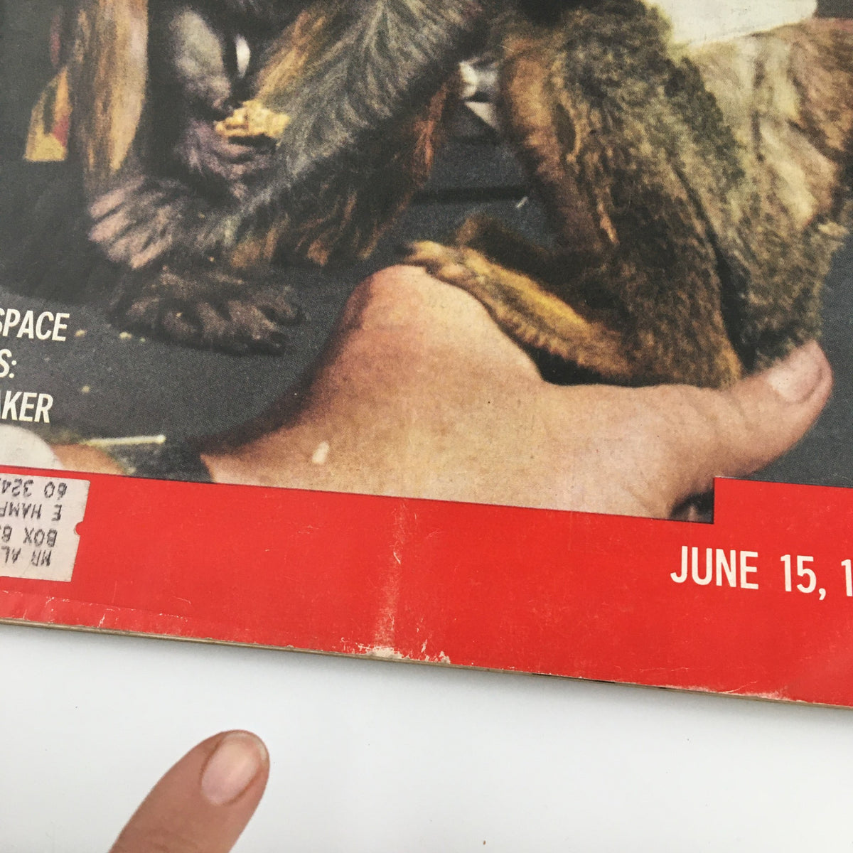 Life Magazine June 15 1959 Issue - Where Does The Money Go? Family Finance Insights