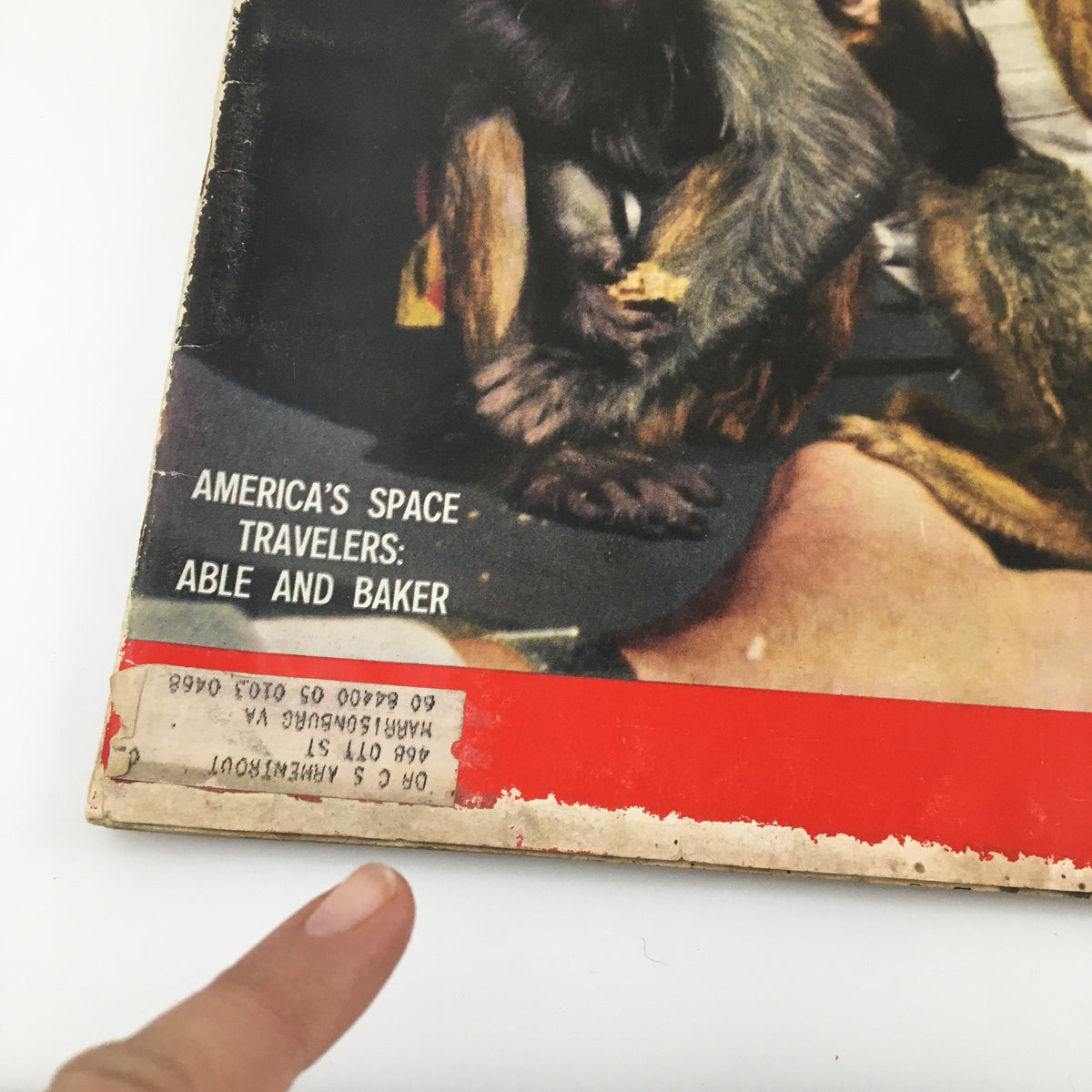 Close-up image of the June 15, 1959 Life Magazine cover showing the label 'America's Space Travelers: Able and Baker.' The magazine cover captures a historical moment in space exploration.