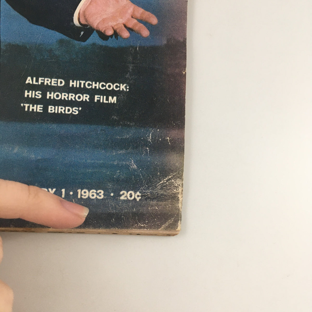 Close-up of the bottom section of Life Magazine's cover from February 1, 1963, highlighting the title 'The Birds' and the date.