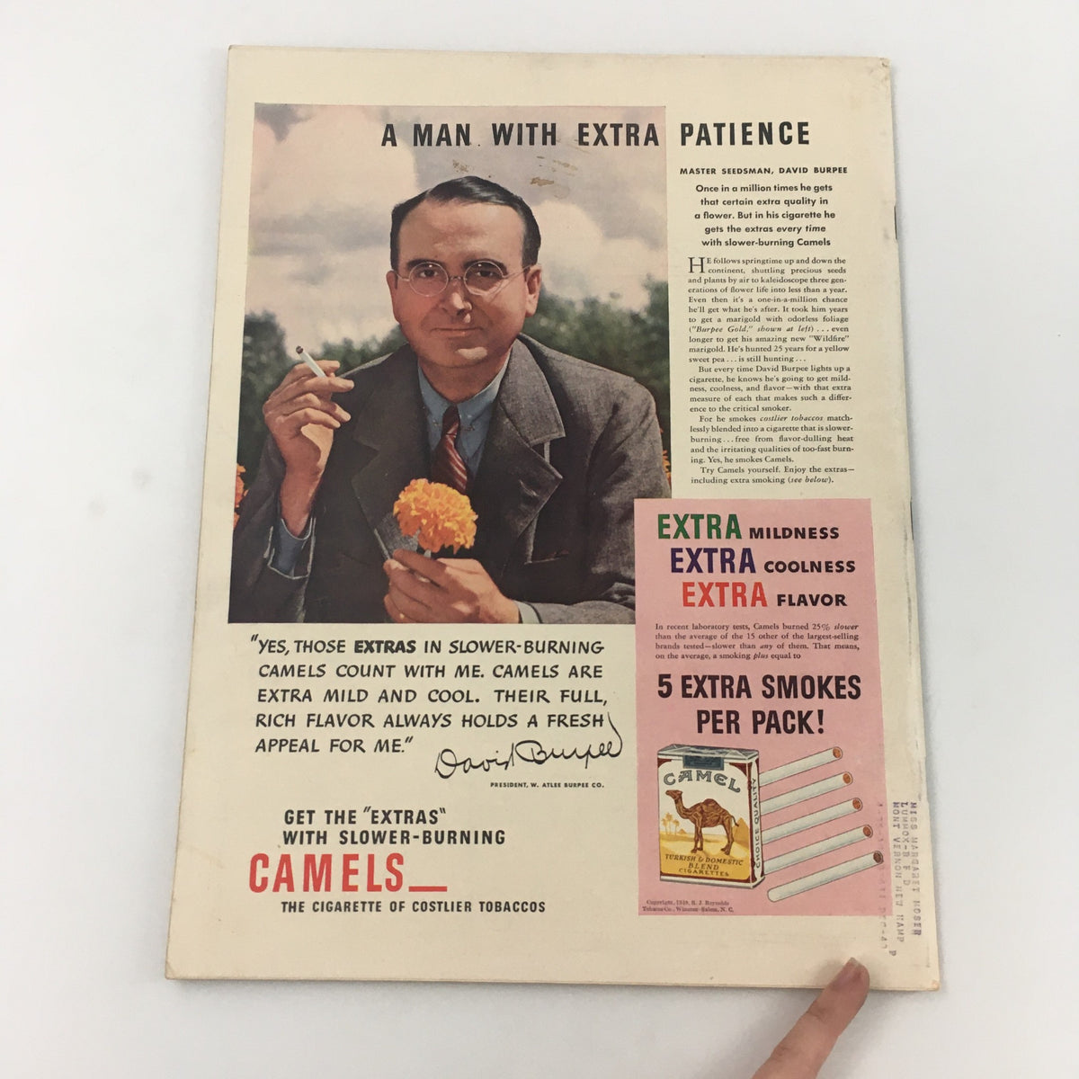 Back cover of Life Magazine October 28, 1940, showcasing an advertisement for Camels cigarettes with a man enjoying flowers and a cigarette, emphasizing the product's quality.