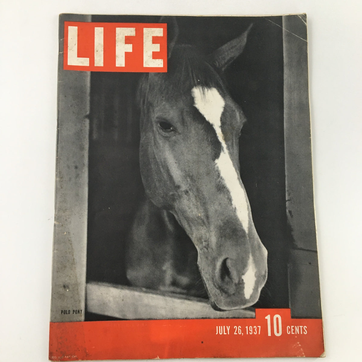 Cover of Life Magazine dated July 26, 1937 featuring a close-up of a polo pony and the title 'LIFE' prominently displayed.
