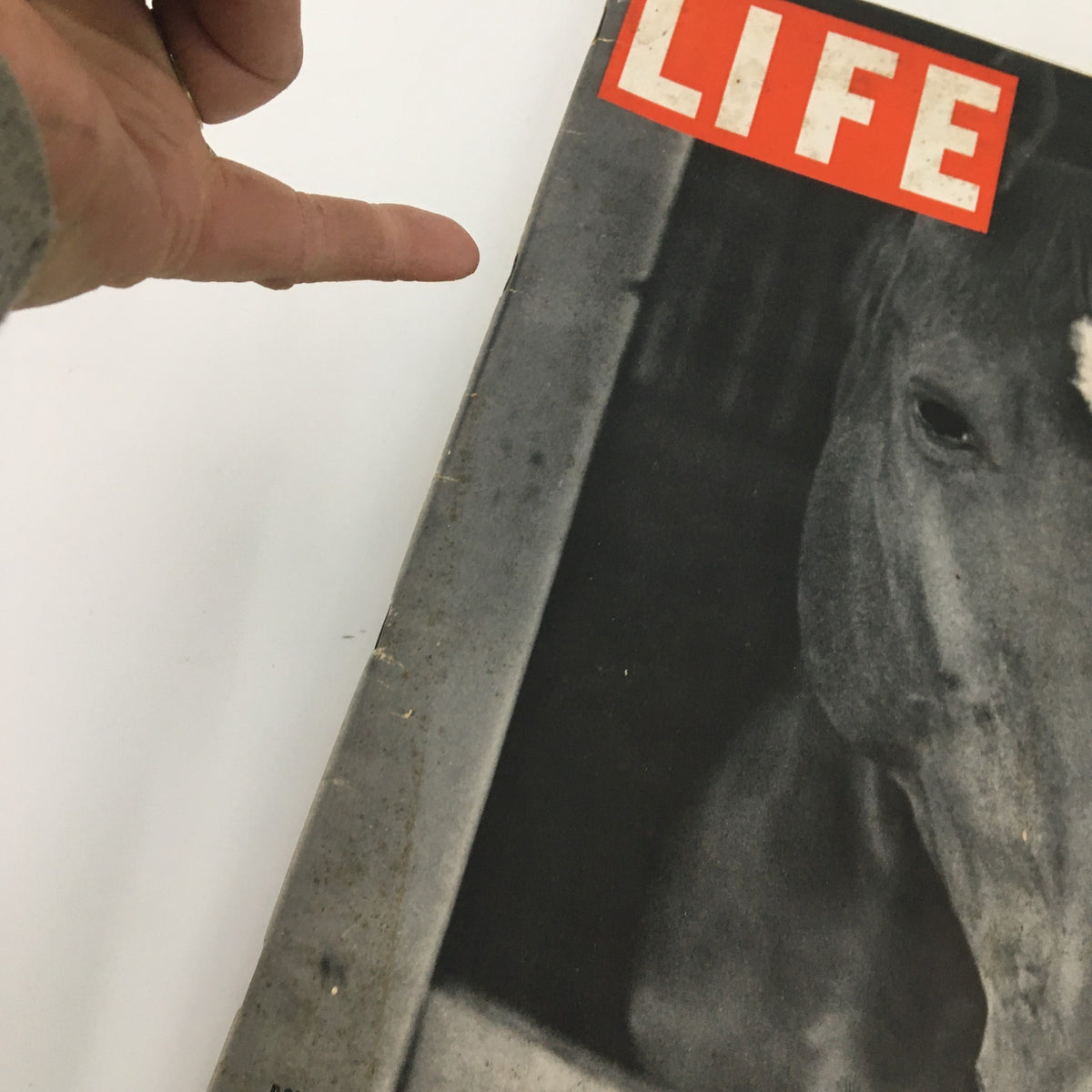 Life Magazine July 26, 1937 cover with a polo pony, showing the title 'LIFE' and a hand gesturing towards the magazine.