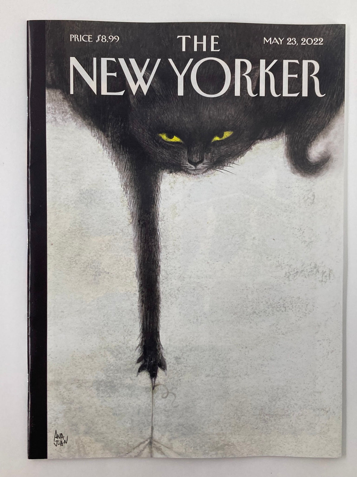 The New Yorker Full Magazine May 23 2022 cover featuring the captivating illustration 'Making Mischief' by Ana Juan, showcasing a black cat with striking green eyes.