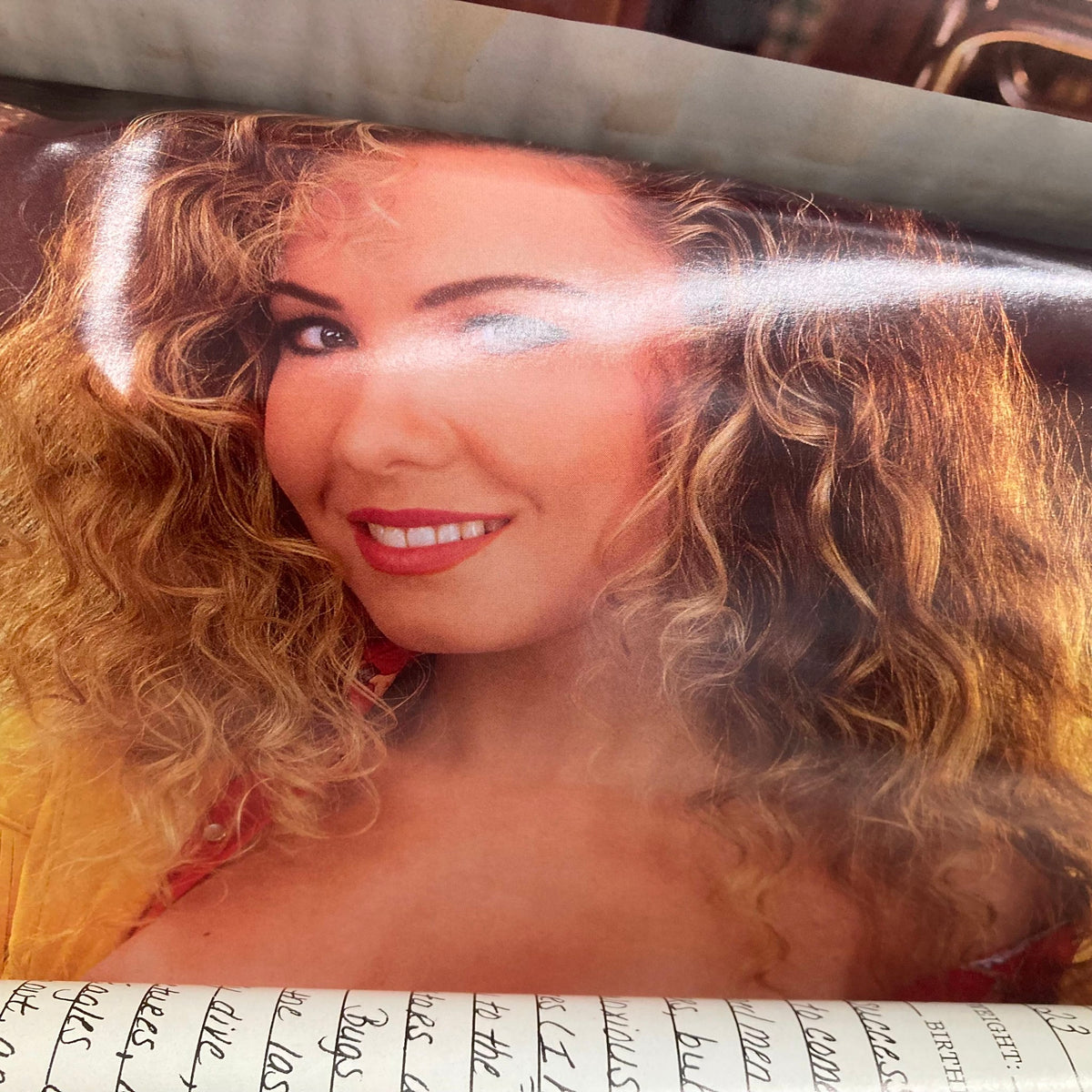 Centerfold feature of Nicole Wood from Playboy Magazine April 1993, highlighting her beauty and charm in a vintage collectible.