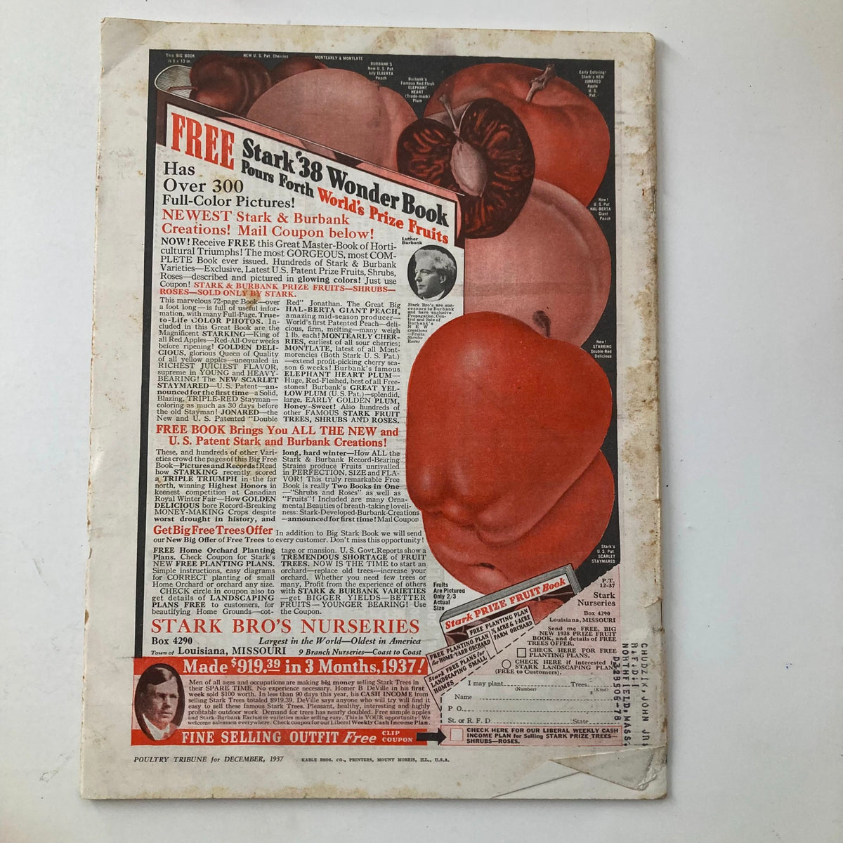 Cover of VTG Poultry Tribune Magazine from December 1937 showcasing advertisements and colorful graphics, featuring details about the Stark Bros. Nurseries and their prize fruits, alongside information relevant to poultry enthusiasts.