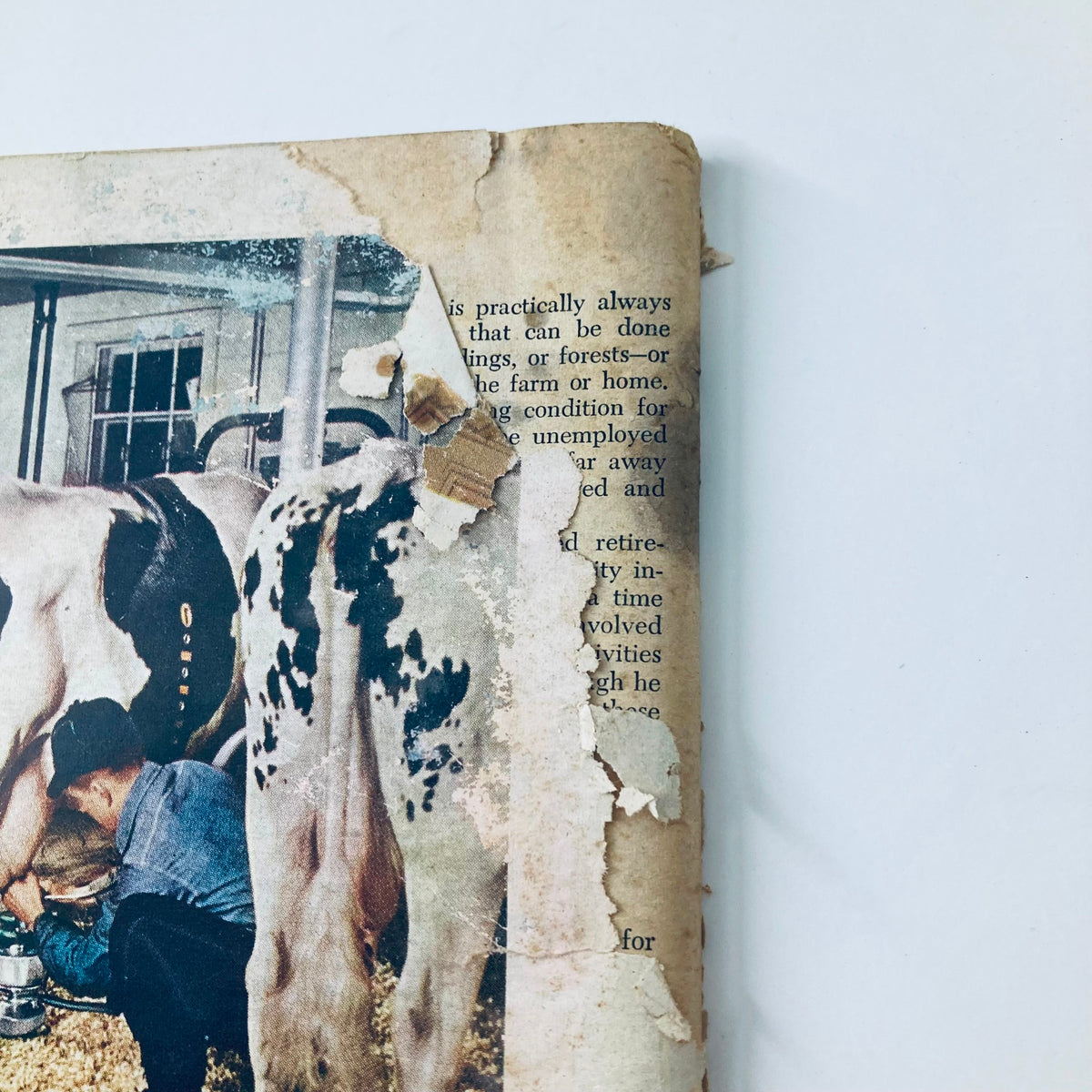Close-up view of the back cover of VTG The Progressive Farmer Magazine from April 1958, focusing on a farmer milking a cow, with visible wear and tear reflecting its vintage condition.