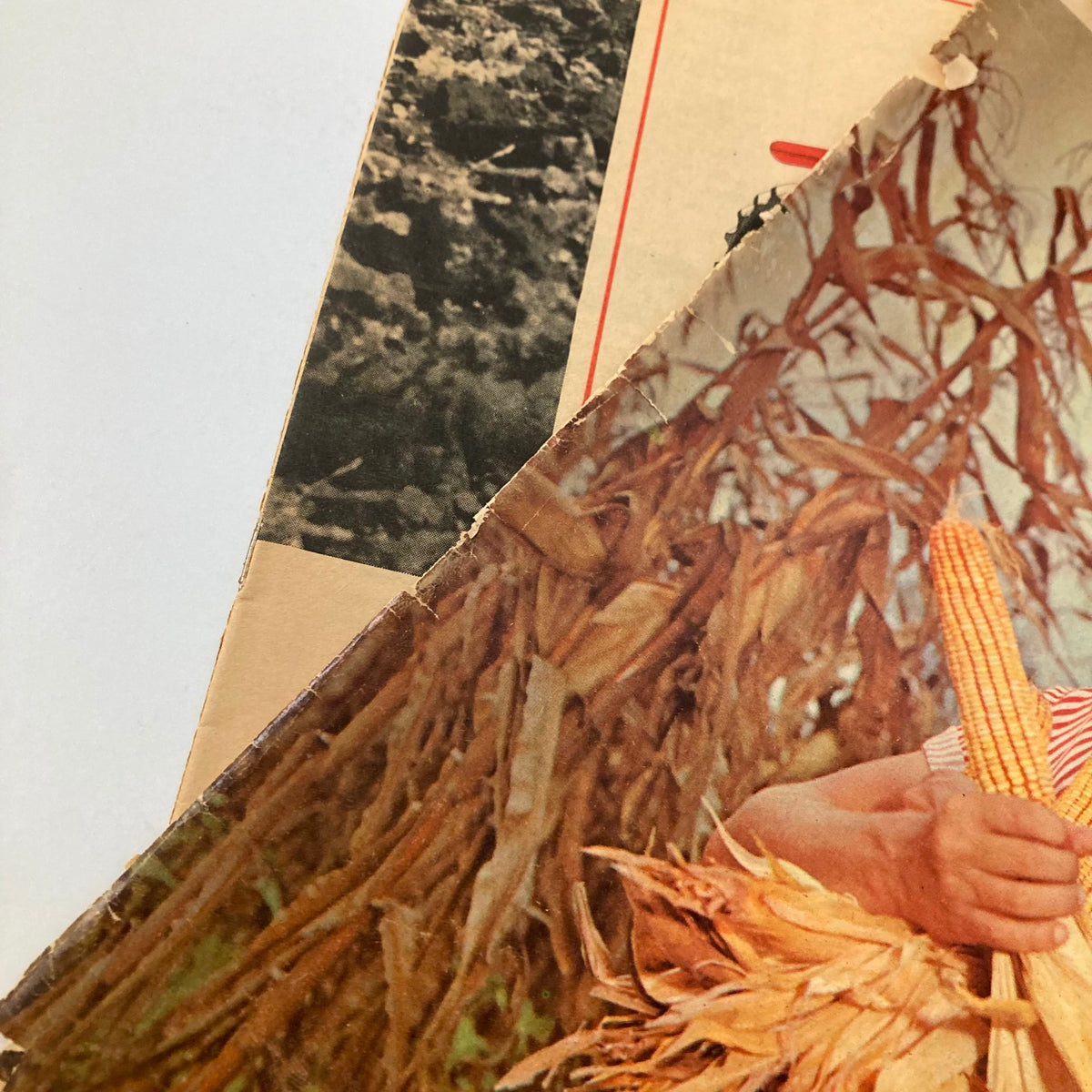 Close-up of the VTG The Southern Planter Magazine February 1967 cover, showcasing detailed textures and the young man holding corn amidst a rustic farming backdrop.