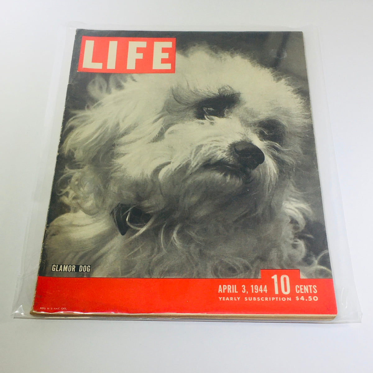 VTG Life Magazines: April 3 1944 cover featuring a Glamour Dog, showcasing vintage style and historical significance from World War II era. The magazine is encapsulated in protective plastic.