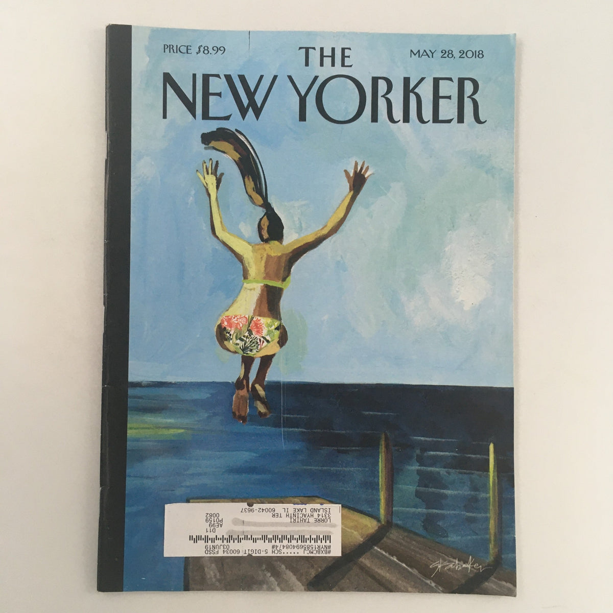 Cover of The New Yorker magazine dated May 28, 2018, featuring an artistic illustration by Gayle Kabaker depicting a figure jumping into the water, symbolizing freedom and adventure.