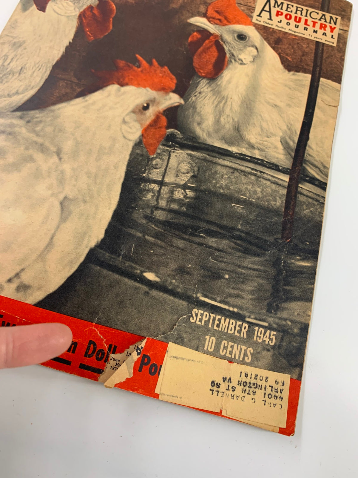 Cover of the VTG American Poultry Journal September 1945 issue titled Voice of Two Billion Dollar Poultry, featuring hens and historical magazine details.