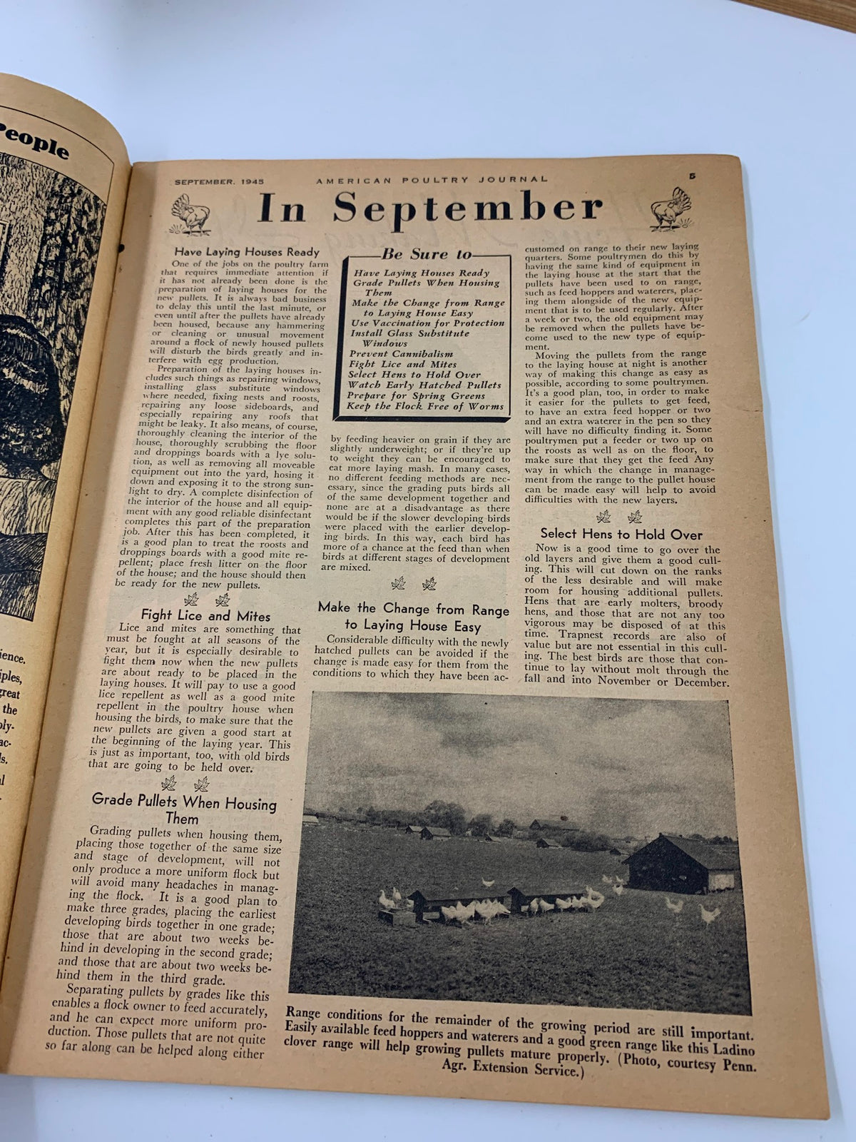 Another page from the VTG American Poultry Journal September 1945 issue, displaying informative content on poultry management and historical imagery.