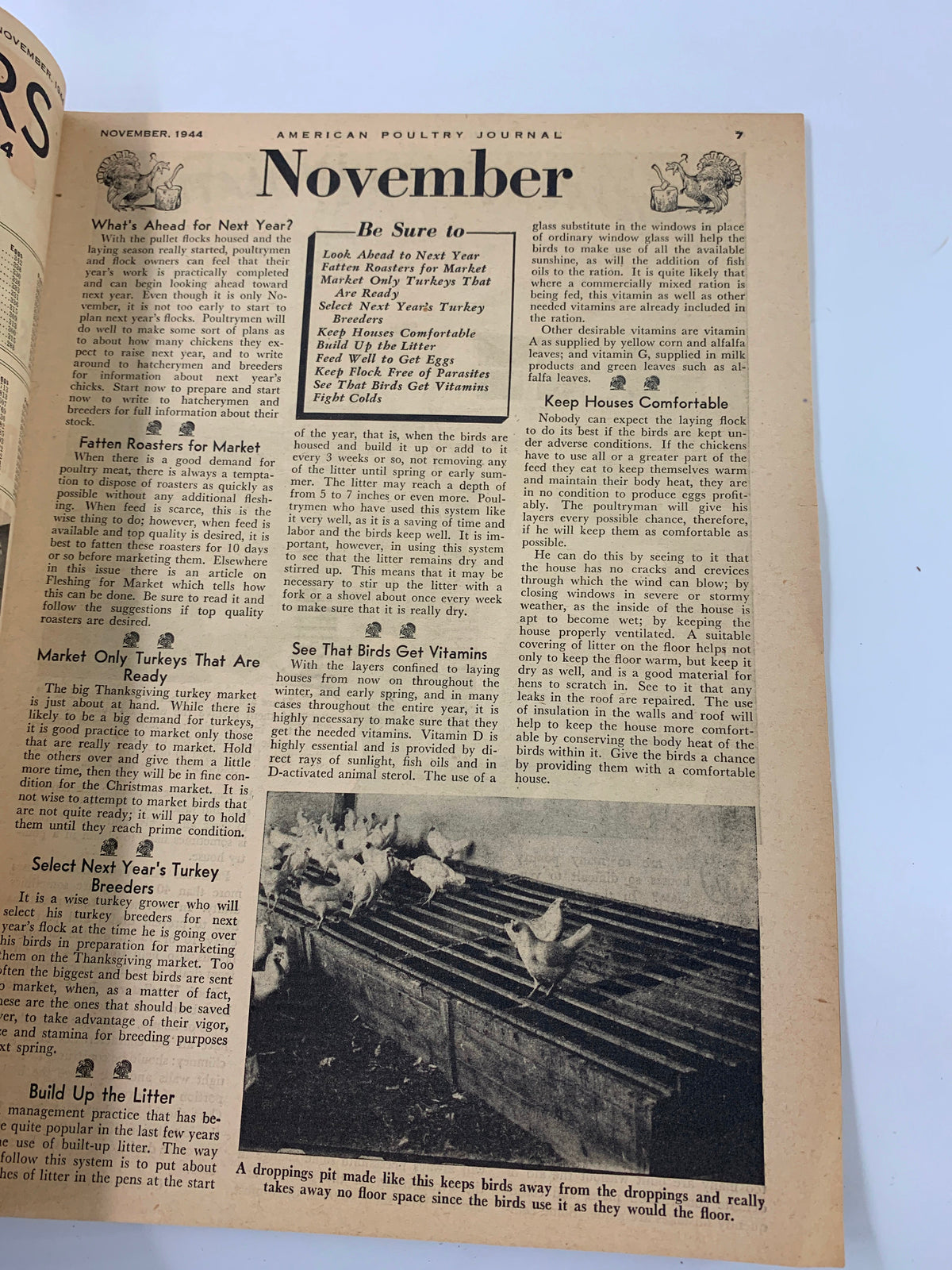 Vintage American Poultry Journal November 1944 Select Next Year's Turkey Breeders