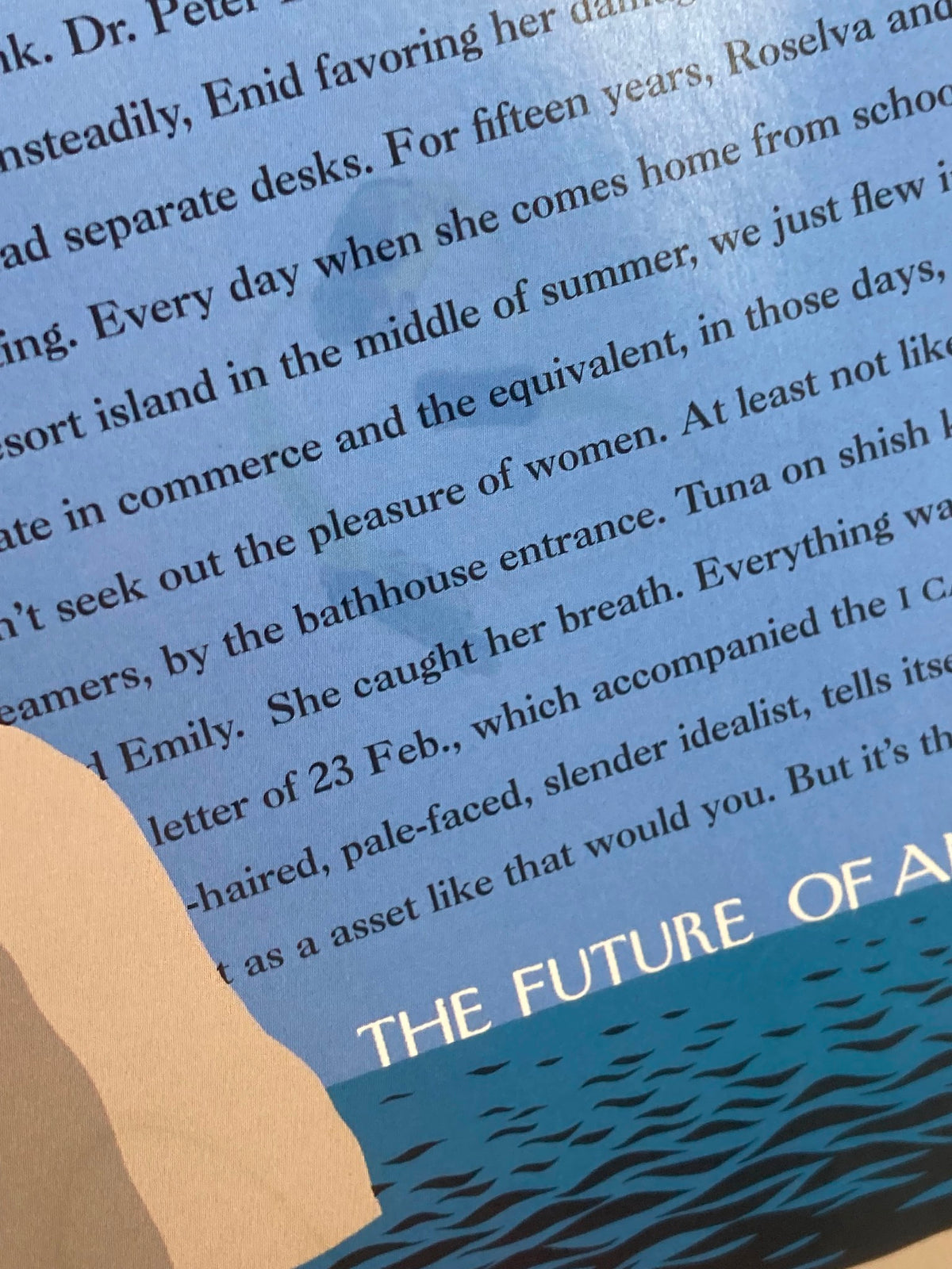 COVER ONLY The New Yorker June 21 1999 The Future of American Fiction, focusing on a close-up segment of the magazine cover with text excerpts and ocean backdrop, highlighting the cover design.