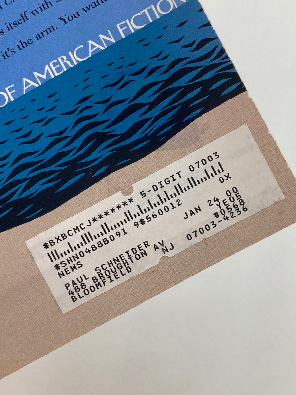 Label from the back cover of The New Yorker, June 21, 1999, showing a shipping address, emphasizing collection details for the magazine themed 'The Future of American Fiction'.