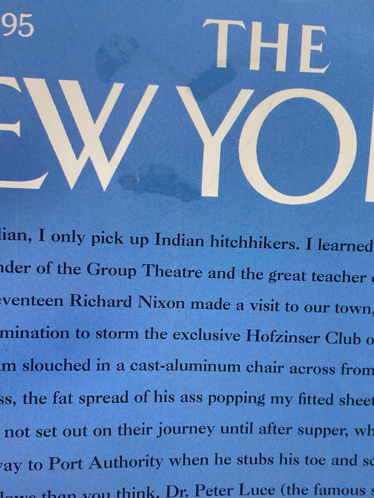 Text from the back cover of The New Yorker, June 21, 1999, displaying part of an article, highlighting the magazine issue related to 'The Future of American Fiction'.