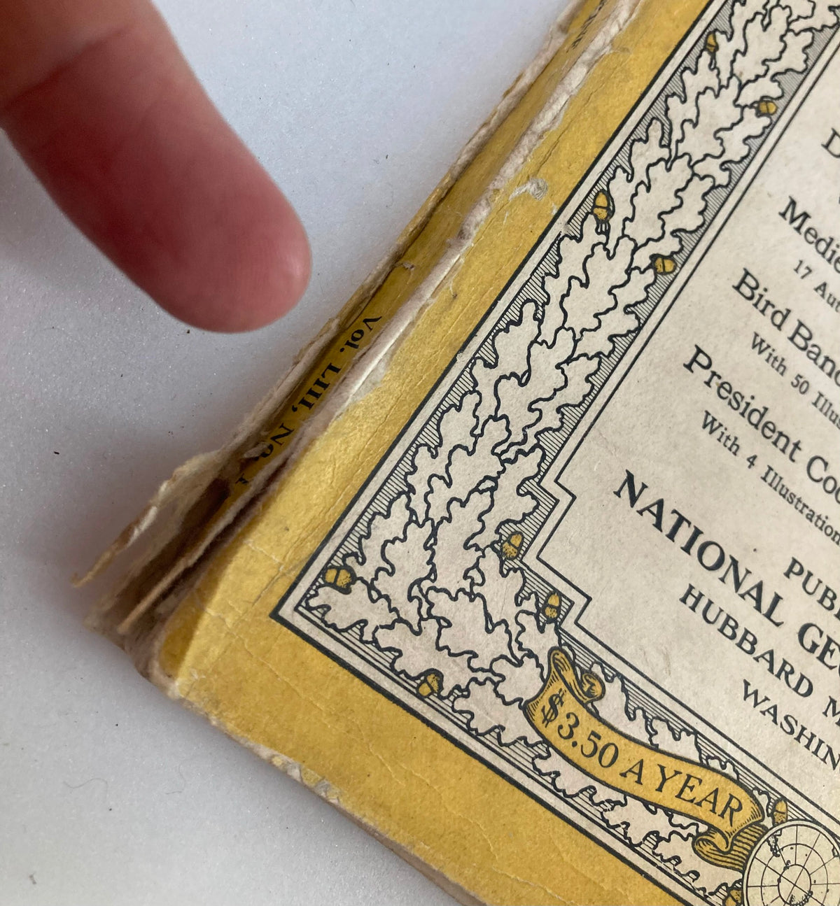 Detailed view of the torn edge of the January 1928 National Geographic Magazine's spine, with the magazine title 'Dalmatian Days' visible.